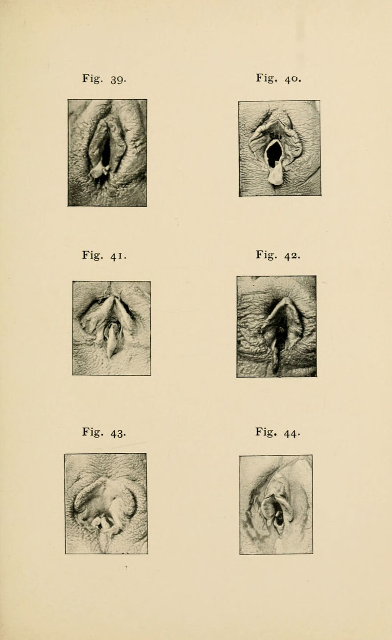 Fig. 41. Fig. 42.