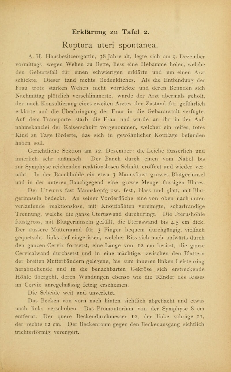 Ruptura uteri spontanea. A. H. Hausbesitzersgattin, 38 Jahre alt, legte sieh am 9. Dezember vormittags wegen Wehen zu Bette, liess eine Hebamme holen, welche den Geburtsfall für einen schwierigen erklärte und um einen Arzt schickte. Dieser fand nichts Bedenkliches. Als die Entbindung der Frau trotz starken Wehen nicht vorrückte und deren Befinden sich Nachmittag plötzlich verschlimmerte, wurde der Arzt abermals geholt, der nach Konsultierung eines zweiten Arztes den Zustand für gefährlich erklärte und die Überbringung der Frau in die Gebäranstalt verfügte. Auf dem Transporte starb die Frau und wurde an ihr in der Auf- nahmskanzlei der Kaiserschnitt vorgenommen, welcher ein reifes, totes Kind zu Tage förderte, das sich in gewöhnlicher Kopflage befunden haben soll. Gerichtliche Sektion am 12. Dezember: die Leiche äusserlich und innerlich sehr anämisch. Der Bauch durch einen vom Nabel bis zur Symphyse reichenden reaktionslosen Schnitt eröffnet und wieder ver- näht. In der Bauchhöhle ein etwa 3 Mannsfaust grosses Blutgerinnsel und in der unteren Bauchgegend eine grosse Menge flüssigen Blutes. Der Uterus fast Mannskopfgross, fest, blass und glatt, mit Blut- gerinnseln bedeckt. An seiner Vorderfläche eine von oben nach unten verlaufende reaktionslose, mit Knopfnähten vereinigte, scharfrandige Trennung, welche die ganze Uteruswand durchdringt. Die Uterushöhle faustgross, mit Blutgerinnseln gefüllt, die Uteruswand bis 4,5 cm dick. Der äussere Muttermund für 3 Finger bequem durchgängig, vielfach gequetscht, links tief eingerissen, welcher Riss sich nach aufwärts durch den ganzen Cervix fortsetzt, eine Länge von 12 cm besitzt, die ganze Cervicalwand durchsetzt und in eine mächtige, zwischen den Blättern der breiten Mutterbändern gelegene, bis zum inneren linken Leistenring herabziehende und in die benachbarten Gekröse sich erstreckende Höhle übergeht, deren Wandungen ebenso wie die Ränder des Risses im Cervix unregelmässig fetzig erscheinen. Die Scheide weit und unverletzt. Das Becken von vorn nach hinten sichtlich abgeflacht und etwas nach links verschoben. Das Promontorium von der Symphyse 8 cm entfernt. Der quere Beckendurchmesser 12, der linke schräge II, der rechte 12 cm. Der Beckenraum gegen den Beckenausgang sichtlich trichterförmig verengert.