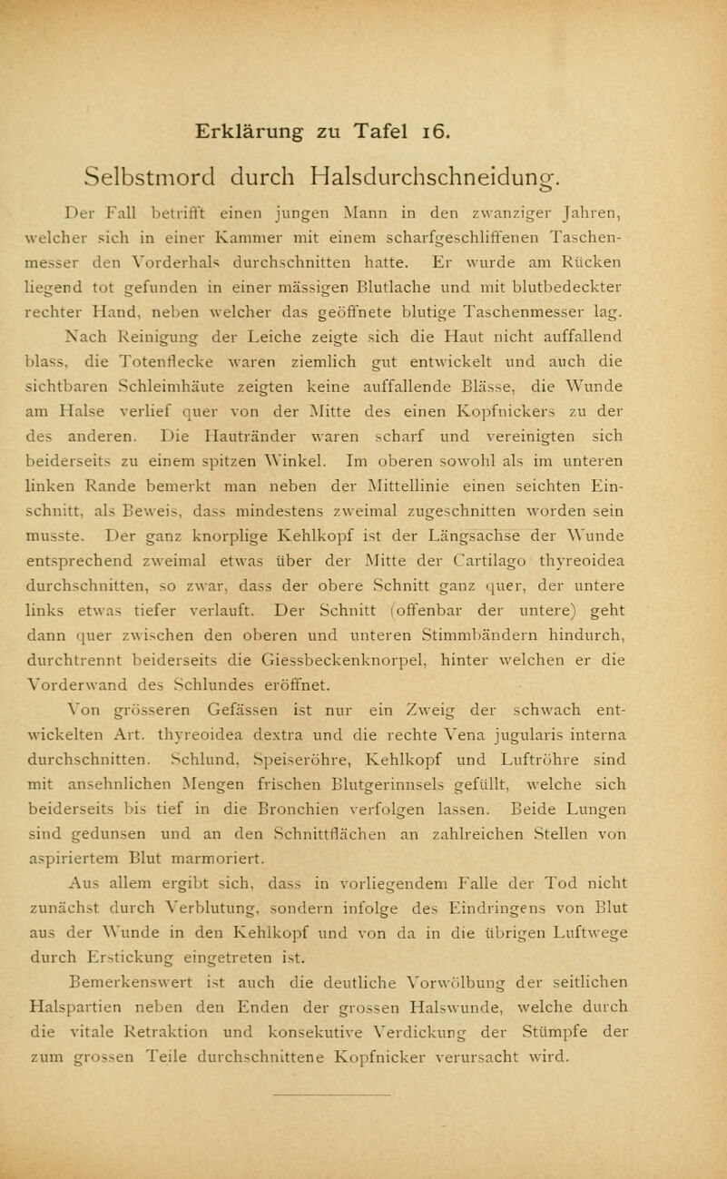 Selbstmord durch Halsdurchschneiduno-. o Der Fall betrifft einen jungen Mann in den zwanziger Jahren, welcher sich in einer Kammer mit einem scharfgeschliffenen Taschen- messer den Vorderhals durchschnitten hatte. Er wurde am Rücken liegend tot gefunden in einer massigen Blutlache und mit blutbedeckter rechter Hand, neben welcher das geöffnete blutige Taschenmesser lag. Nach Reinigung der Leiche zeigte sich die Haut nicht auffallend blass. die Totenflecke waren ziemlich gut entwickelt und auch die sichtbaren Schleimhäute zeigten keine auffallende Blässe, die Wunde am Halse verlief quer von der Mitte des einen Kopfnickers zu der des anderen. Die Ilautränder waren scharf und vereinigten sich beiderseits zu einem spitzen Winkel. Im oberen sowohl als im unteren linken Rande bemerkt man neben der Mittellinie einen seichten Ein- schnitt, als Beweis, dass mindestens zweimal zugeschnitten worden sein musste. Der ganz knorplige Kehlkopf ist der Längsachse der Wunde entsprechend zweimal etwas über der Mitte der Cartilago thyreoidea durchschnitten, so zwar, dass der obere Schnitt ganz quer, der untere links etwa- tiefer verlauft. Der Schnitt (offenbar der untere) geht dann quer zwischen den oberen und unteren Stimmbändern hindurch, durchtrennt beiderseits die Giessbeckenknorpel, hinter welchen er die Vorderwand des Schlundes eröffnet. Von grösseren Gefässen ist nur ein Zweig der schwach ent- wickelten Art. thyreoidea dextra und die rechte Vena jugularis interna durchschnitten. Schlund. Speiseröhre, Kehlkopf und Luftröhre sind mit ansehnlichen Mengen frischen Blutgerinnsels gefüllt, welche sich beiderseits bis tief in die Bronchien verfolgen lassen. Beide Lungen sind gedunsen und an den Schnittflächen an zahlreichen Stellen von aspiriertem Blut marmoriert. Aus allem ergibt sich, das- in vorliegendem Falle der Tod nicht zunächst durch Verblutung, sondern infolge des Eindringens von Blut aus der Wunde in den Kehlkopf und von da in die übrigen Luftwege durch Erstickung eingetreten ist. Bemerkenswert ist auch die deutliche Vorwölbung der seitlichen Halspartien neben den Enden der grossen Halswunde, welche durch die vitale Retraktion und konsekutive Verdickung der Stümpfe der zum grossen Teile durchschnittene Kopfnicker verursacht wird.
