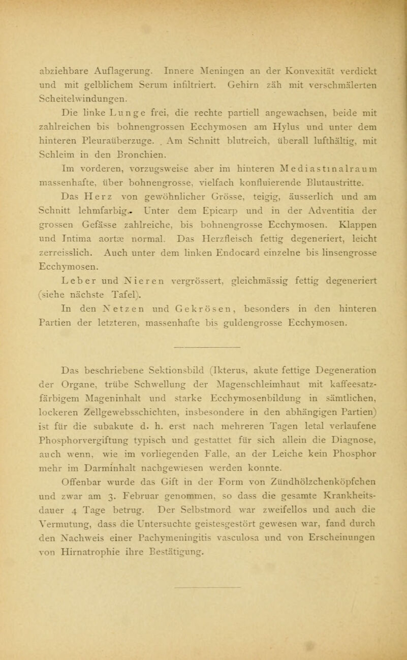 abziehbare Auflagerung. Innere Meningen an der Konvexität verdickt und mit gelblichem Serum infiltriert. Gehirn zäh mit verschmälerten Scheitelwindungen. Die linke Lunge frei, die rechte partiell angewachsen, beide mit zahlreichen bis bohnengrossen Ecchymosen am Hylus und unter dem hinteren Pleuraüberzuge. . Am Schnitt blutreich, überall lufthaltig, mit Schleim in den Bronchien. Im vorderen, vorzugsweise aber im hinteren M e d i as ti n alraum massenhafte, über bohnengrosse. vielfach konfluierende Blutaustritte. Das Herz von gewöhnlicher Grösse, teigig, äusserlich und am Schnitt lehmfarbig.. Unter dem Epicarp und in der Adventitia der grossen Gefässe zahlreiche, bis bohnengrosse Ecchymosen. Klappen und Intima aortoe normal. Das Herzfleisch fettig degeneriert, leicht zerreisslich. Auch unter dem linken Endocard einzelne bis linsengrosse Ecchymosen. Leber und Nieren vergrössert, gleichmässig fettig degeneriert (siehe nächste Tafel . In den Netzen und Gekrösen, besonders in den hinteren Partien der letzteren, massenhafte bis guldengrosse Ecchymosen. Das beschriebene Sektionsbild Ikterus, akute fettige Degeneration der Organe, trübe Schwellung der Magenschleimhaut mit kaffeesatz- färbigem Mageninhalt und starke Ecchymosenbildung in sämtlichen, lockeren Zellgewebsschichten, insbesondere in den abhängigen Partien ist für die subakute d. h. erst nach mehreren Tagen letal verlaufene Phosphorvergiftung typisch und gestattet für sich allein die Diagnose, auch wenn, wie im vorliegenden Falle, an der Leiche kein Phosphor mehr im Darminhalt nachgewiesen werden konnte. < Iflenbar wurde das (;jft in der Form von Zündhölzchenköpfchen und zwar am 3. Februar genommen, so dass die gesamte Krankheits- dauer 4 Tage betrug. Der Selbstmord war zweifellos und auch die Vermutung, dass die Untersuchte geis gewesen war, fand durch den Nachweis einer Pachymeningitis vasculosa und von Erscheinungen von Hirnatrophie ihr 'ng.