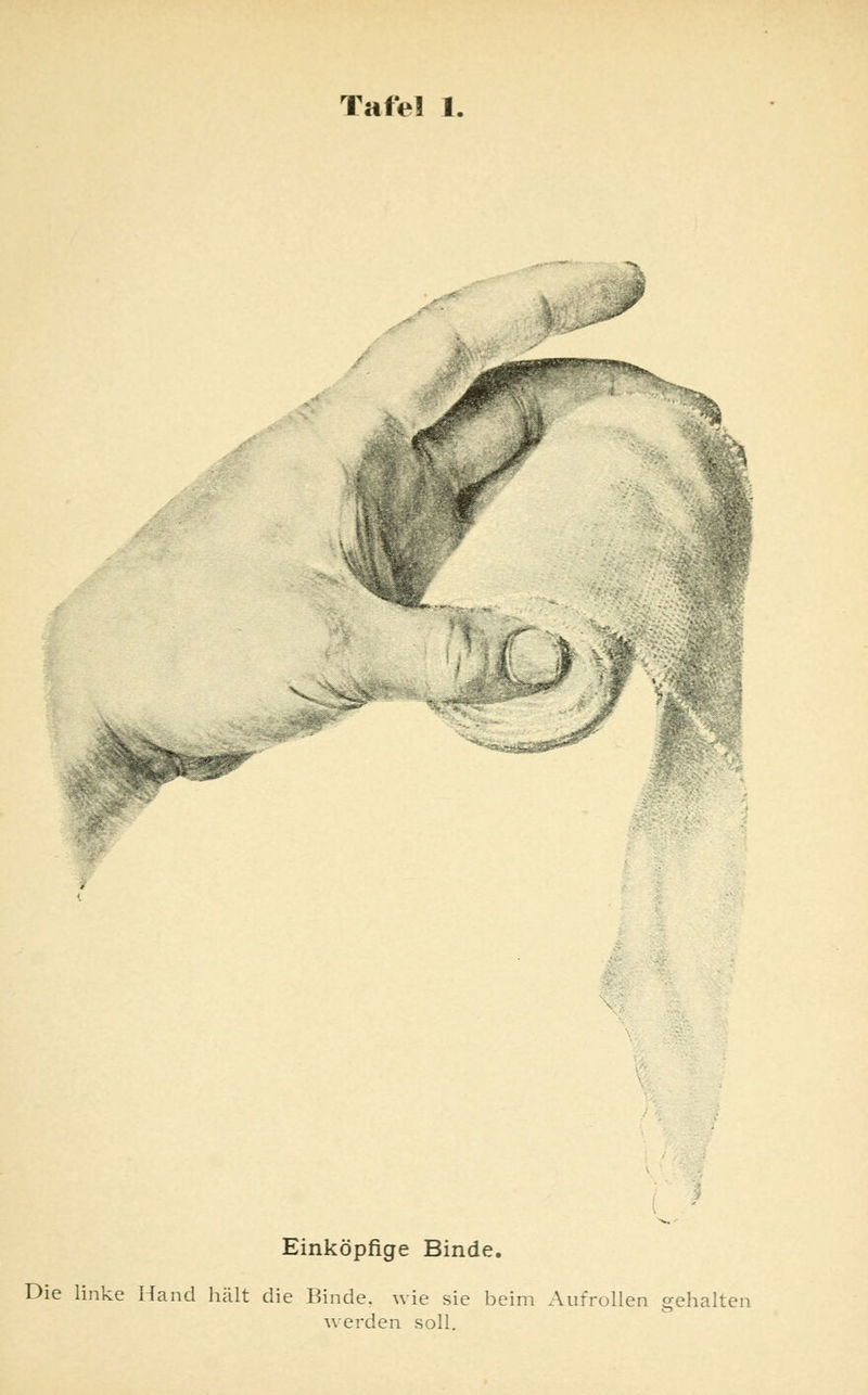 r „S* ^ Einköpfige Binde. Die linke Hand hält die Binde, wie sie beim Aufrollen gehalten werden soll.