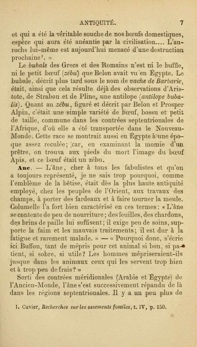 et qui a été la véritable souche de nos bœufs domestiques, espèce qui aura été anéantie par la civilisation.... L'au- rochs lui-même est aujourd'hui menacé d'une destruction prochaine1. » Le bubale des Grecs et des Romains n'est ni le buflle, ni le petit bœuf [zébu) queBelon avait vu en Egypte. Le bubale, décrit plus tard sous le nom de vache de Barbarie, était, ainsi que cela résulte déjà des observations d'Aris- tote, de Strabon et de Pline, une antilope (antilope buba- lis). Quant au zébu, figuré et décrit par Belon et Prosper Alpin, c'était une simple variété de bœuf, bossu et petit de taille, commune dans les contrées septentrionales de l'Afrique, d'où elle a été transportée dans le Nouveau- Monde. Cette race se montrait aussi en Egypte à une épo- que assez reculée; jcar, en examinant la momie d'un prêtre, on trouva aux pieds du mort l'image du bœuf Apis, et ce bœuf était un zébu. Ane. — L'âne, cher à tous les fabulistes et qu'on a toujours représenté, je ne sais trop pourquoi, comme l'emblème de la bêtise, était dès la plus haute antiquité employé, chez les peuples de l'Orient, aux travaux des champs, à porter des fardeaux et à faire tourner la meule. Columelle l'a fort bien caractérisé en ces termes : <* L'âne se contente de peu de nourriture ; des feuilles, des chardons, des brins de paille lui suffisent; il exige peu de soins, sup- porte la faim et les mauvais traitements; il est dur à la fatigue et rarement malade. » — « Pourquoi donc, s'écrie ici Buffon, tant de mépris pour cet animal si bon, si pa-* tient, si sobre, si utile? Les hommes mépriseraient-ils jusque dans les animaux ceux qui les servent trop bien et à trop peu de frais ? » Sorti des contrées méridionales (Arabie et Egypte) de l'Ancien-Monde, l'âne s'est successivement répandu de là dans les régions septentrionales. Il y a un peu plus de 1. Cuvier, Recherches sur les ossements fossiles, t. IV, p. 150.