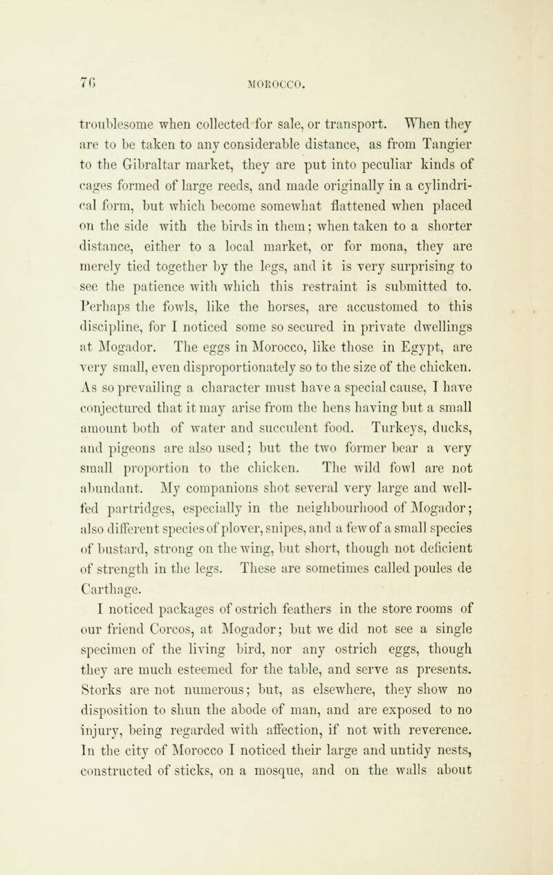 troublesome when collected for sale, or transport. Wlien tlicy are to be taken to any considerable distance, as from Tangier to the Gibraltar market, thej are put into peculiar kinds of cages formed of large reeds, and made originally in a cylindri- cal form, but wliich become somewhat flattened when placed on the side with the birds in them; when taken to a shorter distance, either to a local market, or for raona, tliey are merely tied together by the logs, and it is very surprising to see the patience with which this restraint is submitted to. Perhaps tlic fowls, like the horses, arc accustomed to this discijjline, for I noticed some so secured in private dwellings at Mogador. The eggs in Morocco, like those in Egypt, are very small, even disproportionately so to the size of the chicken. As so prevailing a character must have a special cause, I have conjectured that it may arise from the hens having but a small amount both of water and succulent food. Turkeys, ducks, and pigeons are also used; but the two former bear a very small proportion to the chicken. The wild fowl are not al)undant. My companions shot several very large and well- fed partridges, especially in the neighbourliood of jMogador; also different species of plover, snipes, and a few of a small species of bustard, strong on the wing, but short, tiiough not deticient of strength in the legs. These are sometimes called poules de Carthage. I noticed packages of ostrich feathers in tlie store rooms of our friend Corcos, at IMogador; but we did not see a single specimen of tlie living bird, nor any ostricli eggs, though they are much esteemed for the table, and serve as presents. Storks are not numerous; but, as elsewhere, they show no disposition to shun the abode of man, and are exposed to no injury, being regarded with affection, if not with reverence. In the city of Morocco I noticed their large and untidy nests, constructed of sticks, on a mosque, and on the walls about