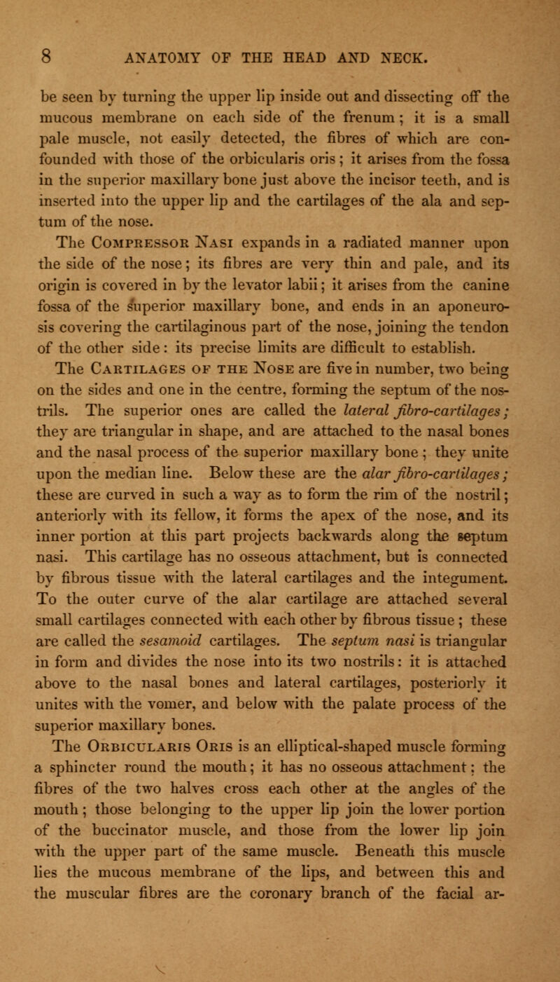 be seen by turning the upper lip inside out and dissecting off the mucous membrane on each side of the frenum ; it is a small pale muscle, not easily detected, the fibres of which are con- founded with those of the orbicularis oris; it arises from the fossa in the superior maxillary bone just above the incisor teeth, and is inserted into the upper lip and the cartilages of the ala and sep- tum of the nose. The Compressor Nasi expands in a radiated manner upon the side of the nose; its fibres are very thin and pale, and its origin is covered in by the levator labii; it arises from the canine fossa of the superior maxillary bone, and ends in an aponeuro- sis covering the cartilaginous part of the nose, joining the tendon of the other side: its precise limits are difficult to establish. The Cartilages of the Xose are five in number, two being on the sides and one in the centre, forming the septum of the nos- trils. The superior ones are called the lateral Jibro-cartilages; they are triangular in shape, and are attached to the nasal bones and the nasal process of the superior maxillary bone ; they unite upon the median line. Below these are the alar Jibro-cartilages ; these are curved in such a way as to form the rim of the nostril; anteriorly with its fellow, it forms the apex of the nose, and its inner portion at this part projects backwards along the septum nasi. This cartilage has no osseous attachment, but is connected by fibrous tissue with the lateral cartilages and the integument To the outer curve of the alar cartilage are attached several small cartilages connected with each other by fibrous tissue ; these are called the sesamoid cartilages. The septum nasi is triangular in form and divides the nose into its two nostrils: it is attached above to the nasal bones and lateral cartilages, posteriorly it unites with the vomer, and below with the palate process of the superior maxillary bones. The Orbicularis Oris is an elliptical-shaped muscle forming a sphincter round the mouth; it has no osseous attachment; the fibres of the two halves cross each other at the angles of the mouth ; those belonging to the upper lip join the lower portion of the buccinator muscle, and those from the lower lip join with the upper part of the same muscle. Beneath this muscle lies the mucous membrane of the lips, and between this and the muscular fibres are the coronary branch of the facial ar-