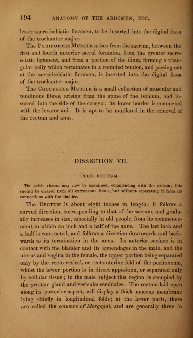 lesser sacro-ischiatic foramen, to be inserted into the digital fossa of the trochanter major. The Pyriformis Muscle arises from the sacrum, between the first and fourth anterior sacral foramina, from the greater sacro- sciatic ligament, and from a portion of the ilium, forming a trian- gular belly which terminates in a rounded tendon, and passing out at the sacro-ischiatic foramen, is inserted into the digital fossa of the trochanter major. The Coccygeus Muscle is a small collection of muscular and tendinous fibres, arising from the spine of the ischium, and in- serted into the side of the coccyx; its lower border is connected with the levator ani. It is apt to be mutilated in the removal of the rectum and anus. DISSECTION VII. THE RECTUM. The pelvic viscera may now be examined, commencing with the rectum; this should be cleared from all extraneous tissue, but without separating it from its connections with the bladder. The Rectum is about eight inches in length; it follows a curved direction, corresponding to that of the sacrum, and gradu- ally increases in size, especially in old people, from its commence- ment to within an inch and a half of the anus. The last inch and a half is contracted, and follows a direction downwards and back- wards to its termination in the anus. Its anterior surface is in contact with the bladder and its appendages in the male, and the uterus and vagina in the female, the upper portion being separated only by the recto-vesical, or recto-uterine fold of the peritoneum, whilst the lower portion is in direct apposition, or separated only by cellular tissue ; in the male subject this region is occupied by the prostate gland and vesiculse seminales. The rectum laid open along its posterior aspect, will display a thick mucous membrane lying chiefly in longitudinal folds; at the lower parts, these are called the columns of Morgagni, and are generally three in
