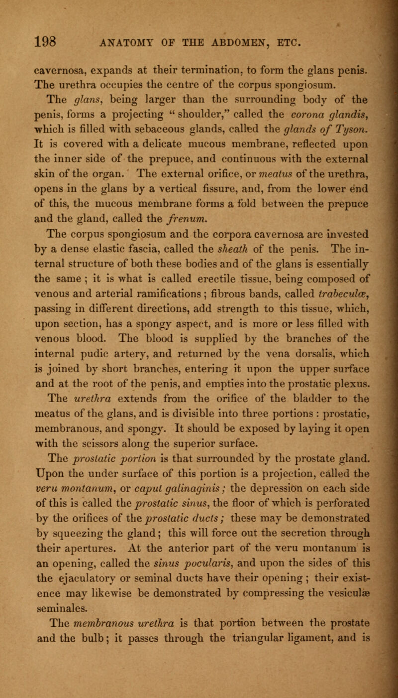 cavernosa, expands at their termination, to form the glans penis. The urethra occupies the centre of the corpus spongiosum. The glans, being larger than the surrounding body of the penis, forms a projecting  shoulder, called the corona glandis, which is filled with sebaceous glands, called the glands of Tyson. It is covered with a delicate mucous membrane, reflected upon the inner side of the prepuce, and continuous with the external skin of the organ. The external orifice, or meatus of the urethra, opens in the glans by a vertical fissure, and, from the lower end of this, the mucous membrane forms a fold between the prepuce and the gland, called the frenum. The corpus spongiosum and the corpora cavernosa are invested by a dense elastic fascia, called the sheath of the penis. The in- ternal structure of both these bodies and of the glans is essentially the same ; it is what is called erectile tissue, being composed of venous and arterial ramifications; fibrous bands, called trabecules, passing in different directions, add strength to this tissue, which, upon section, has a spongy aspect, and is more or less filled with venous blood. The blood is supplied by the branches of the internal pudic artery, and returned by the vena dorsalis, which is joined by short branches, entering it upon the upper surface and at the root of the penis, and empties into the prostatic plexus. The urethra extends from the orifice of the bladder to the meatus of the glans, and is divisible into three portions : prostatic, membranous, and spongy. It should be exposed by laying it open with the scissors along the superior surface. The prostatic portion is that surrounded by the prostate gland. Upon the under surface of this portion is a projection, called the veru montanum, or caput galinaginis; the depression on each side of this is called the prostatic sinus, the floor of which is perforated by the orifices of the prostatic ducts; these may be demonstrated by squeezing the gland; this will force out the secretion through their apertures. At the anterior part of the veru montanum is an opening, called the sinus pocularis, and upon the sides of this the ejaculatory or seminal ducts have their opening ; their exist- ence may likewise be demonstrated by compressing the vesiculse seminales. The membranous urethra is that portion between the prostate and the bulb; it passes through the triangular ligament, and is