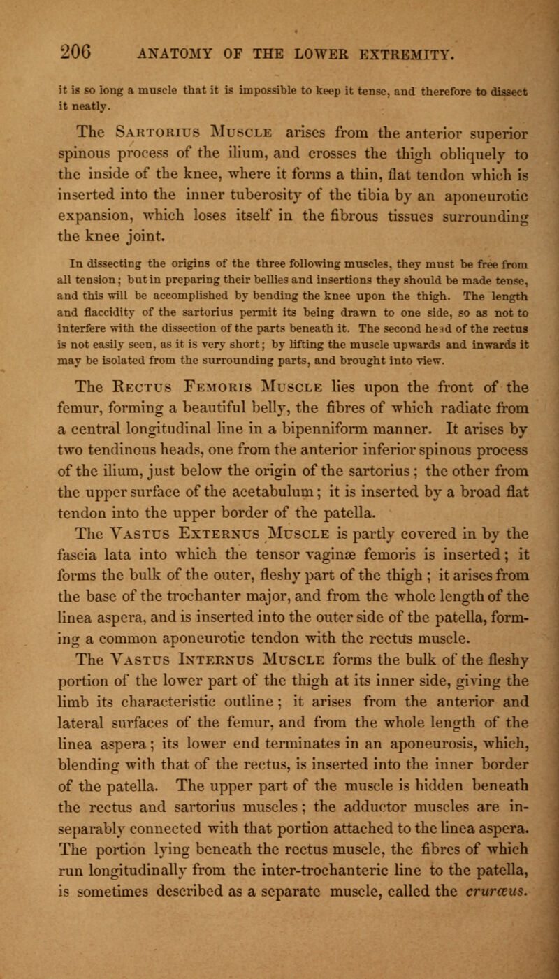 it is so long a muscle that it is impossible to keep it tense, and therefore to dissect it neatly. The Sartorius Muscle arises from the anterior superior spinous process of the ilium, and crosses the thigh obliquely to the inside of the knee, where it forms a thin, flat tendon which is inserted into the inner tuberosity of the tibia by an aponeurotic expansion, which loses itself in the fibrous tissues surrounding the knee joint. In dissecting the origins of the three following muscles, they must be free from all tension; but in preparing their bellies and insertions they should be made tense, and this will be accomplished by bending the knee upon the thigh. The length and flaccidity of the sartorius permit its being drawn to one side, so as not to interfere with the dissection of the parts beneath it. The second heid of the rectus is not easily seen, as it is very short; by lifting the muscle upwards and inwards it may be isolated from the surrounding parts, and brought into view. The Rectus Femoris Muscle lies upon the front of the femur, forming a beautiful belly, the fibres of which radiate from a central longitudinal line in a bipenniform manner. It arises by two tendinous heads, one from the anterior inferior spinous process of the ilium, just below the origin of the sartorius ; the other from the upper surface of the acetabulum; it is inserted by a broad flat tendon into the upper border of the patella. The Vastus Exterxus Muscle is partly covered in by the fascia lata into which the tensor vaginae femoris is inserted; it forms the bulk of the outer, fleshy part of the thigh ; it arises from the base of the trochanter major, and from the whole length of the linea aspera, and is inserted into the outer side of the patella, form- ing a common aponeurotic tendon with the rectus muscle. The Vastus Ixterxus Muscle forms the bulk of the fleshy portion of the lower part of the thigh at its inner side, giving the limb its characteristic outline ; it arises from the anterior and lateral surfaces of the femur, and from the whole length of the linea aspera; its lower end terminates in an aponeurosis, which, blending with that of the rectus, is inserted into the inner border of the patella. The upper part of the muscle is hidden beneath the rectus and sartorius muscles; the adductor muscles are in- separably connected with that portion attached to the linea aspera. The portion lying beneath the rectus muscle, the fibres of which run longitudinally from the inter-trochanteric line to the patella, is sometimes described as a separate muscle, called the crurceus.