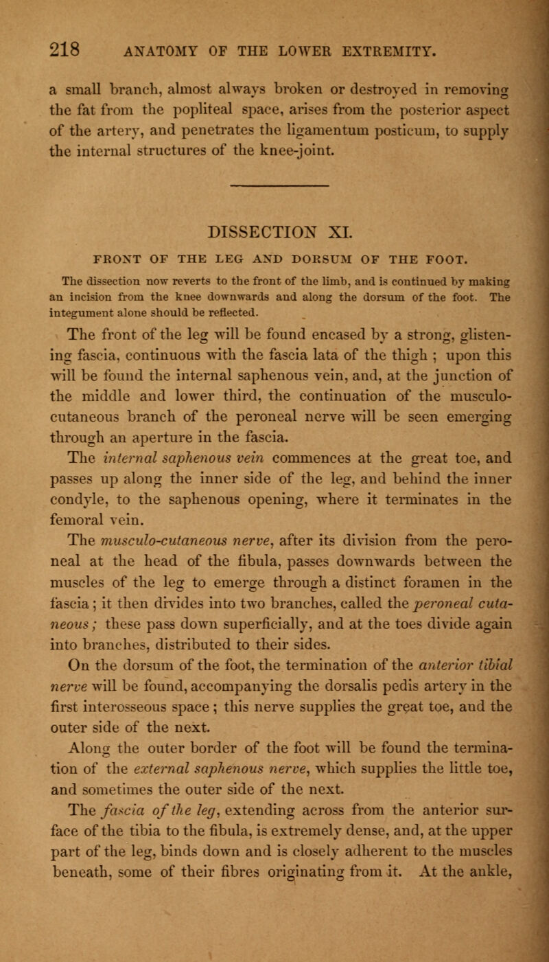 a small branch, almost always broken or destroyed in removing the fat from the popliteal space, arises from the posterior aspect of the artery, and penetrates the ligamentum posticum, to supply the internal structures of the knee-joint. DISSECTION XL FRONT OF THE LEG AND DORSUM OF THE FOOT. The dissection now reverts to the front of the limb, and is continued by making an incision from the knee downwards and along the dorsum of the foot. The integument alone should be reflected. The front of the leg will be found encased by a strong, glisten- ing fascia, continuous with the fascia lata of the thigh ; upon this will be found the internal saphenous vein, and, at the junction of the middle and lower third, the continuation of the musculo- cutaneous branch of the peroneal nerve will be seen emerging through an aperture in the fascia. The internal saphenous vein commences at the great toe, and passes up along the inner side of the leg, and behind the inner condyle, to the saphenous opening, where it terminates in the femoral vein. The musculo-cutaneous nerve, after its division from the pero- neal at the head of the fibula, passes downwards between the muscles of the leg to emerge through a distinct foramen in the fascia; it then divides into two branches, called t\\e peroneal cuta- neous ; these pass down superficially, and at the toes divide again into branches, distributed to their sides. On the dorsum of the foot, the termination of the anterior tibial nerve will be found, accompanying the dorsalis pedis artery iu the first interosseous space; this nerve supplies the great toe, and the outer side of the next. Along the outer border of the foot will be found the termina- tion of the external saphenous nerve, which supplies the little toe, and sometimes the outer side of the next. The fa*cia of the leg, extending across from the anterior sur- face of the tibia to the fibula, is extremely dense, and, at the upper part of the leg, binds down and is closely adherent to the muscles beneath, some of their fibres originating from it. At the ankle,