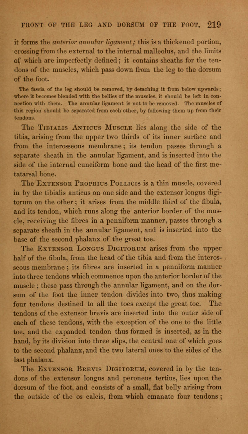 it forms the anterior annular ligament; this is a thickened portion, crossing from the external to the internal malleolus, and the limits of which are imperfectly defined; it contains sheaths for the ten- dons of the muscles, which pass down from the leg to the dorsum of the foot. The fascia of the leg should be removed, by detaching it from below upwards; where it becomei blended with the bellies of the muscles, it should be left in con- nection with them. The annular ligament is not to be removed. The mnftctes of i>u should be separated from each other, by following them up from their tendons. The Tibialis Anticus Muscle lies along the side of the tibia, arising from the upper two thirds of its inner surface and from the interosseous membrane ; its tendon passes through a separate sheath in the annular ligament, and is inserted into the side of the internal cuneiform bone and the head of the first me- tatarsal bone. The Extensor Proprius Pollicis is a thin muscle, covered in by the tibialis anticus on one side and the extensor longus digi- torum on the other; it arises from the middle third of the fibula, and its tendon, which runs along the anterior border of the mus- cle, receiving the fibres in a penniform manner, passes through a separate sheath in the annular ligament, and is inserted into the base of the second phalanx of the great toe. The Extensor Longus Digitorum arises from the upper half of the fibula, from the head of the tibia and from the interos- seous membrane ; its fibres are inserted in a penniform manner into three tendons which commence upon the anterior border of the muscle ; these pass through the annular ligament, and on the dor- sum of the foot the inner tendon divides into two, thus making four tendons destined to all the toes except the great toe. The tendons of the extensor brevis are inserted into the outer side of each of these tendons, with the exception of the one to the little toe, and the expanded tendon thus formed is inserted, as in the hand, by its division into three slips, the central one of which goes to the second phalanx, and the two lateral ones to the sides of the last phalanx. The Extensor Brevis Digitorum, covered in by the ten- dons of the extensor longus and peroneus tertius, lies upon the dorsum of the foot, and consists of a small, flat belly arising from the outside of the os calcis, from which emanate four tendons ;