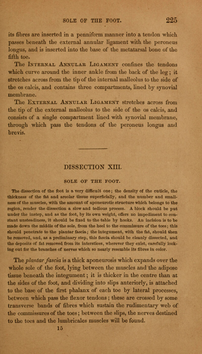 its fibres are inserted in a penniform manner into a tendon which passes beneath the external annular ligament with the peroneus longus, and is inserted into the base of the metatarsal bone of the fifth toe. The Internal Annular Ligament confines the tendons which curve around the inner ankle from the back of the leg; it stretches across from the tip of the internal malleolus to the side of the os calcis, and contains three compartments, lined by synovial membrane. The External Annular Ligament stretches across from the tip of the external malleolus to the side of the os calcis, and consists of a single compartment lined with synovial membrane, through which pass the tendons of the peroneus longus and brevis. DISSECTION Xin. SOLE OF THE FOOT. The dissection of the foot is a very difficult one; the density of the cuticle, the thickness of the fat and areolar tissue superficially, and the number and small- ness of the muscles, with the amount of aponeurotic structure which belongs to the region, render the dissection a slow and tedious process. A block should be put under the instep, and as the foot, by its own weight, offers no impediment to con- stant unsteadiness, it should be fixed to the table by hooks. An incision is to be made down the middle of the sole, from the heel to the commissure of the toes; this should penetrate to the plantar fascia; the integument, with the fat, should then be removed, and, as a preliminary step, this fascia should be cleanly dissected, and the deposits of fat removed from its interstices, wherever they exist, carefully look- ing out for the branches of nerves which so nearly resemble its fibres in color. The plantar fascia is a thick aponeurosis which expands over the whole sole of the foot, lying between the muscles and the adipose tissue beneath the integument; it is thicker in the centre than at the sides of the foot, and dividing into slips anteriorly, is attached to the base of the first phalanx of each toe by lateral processes, between which pass the flexor tendons ; these are crossed by some transverse bands of fibres which sustain the rudimentary web of the commissures of the toes; between the slips, the nerves destined to the toes and the lumbricales muscles will be found. 15