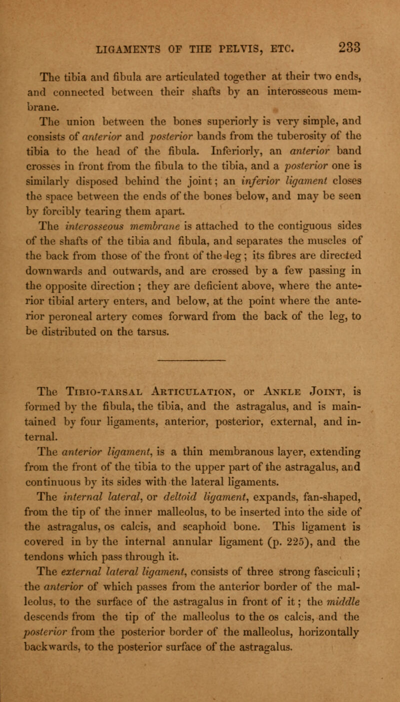 The tibia and fibula are articulated together at their two ends, and connected between their shafts by an interosseous mem- brane. The union between the bones superiorly is very simple, and consists of anterior and posterior bands from the tuberosity of the tibia to the head of the fibula. Inferiorly, an anterior band - in front from the fibula to the tibia, and a posterior one is similarly disposed behind the joint; an inferior ligament closes the space between the ends of the bones below, and may be seen by forcibly tearing them apart. The interosseous membrane is attached to the contiguous sides of the shafts of the tibia and fibula, and separates the muscles of the back from those of the front of the leg; its fibres are directed downwards and outwards, and are crossed by a few passing in the opposite direction ; they are deficient above, where the ante- rior tibial artery enters, and below, at the point where the ante- rior peroneal artery comes forward from the back of the leg, to be distributed on the tarsus. The Tibiotarsal Articulation, or Ankle Joint, is formed by the fibula, the tibia, and the astragalus, and is main- tained by four ligaments, anterior, posterior, external, and in- ternal. The anterior ligament, is a thin membranous layer, extending from the front of the tibia to the upper part of the astragalus, and continuous by its sides with the lateral ligaments. The internal lateral, or deltoid ligament, expands, fan-shaped, from the tip of the inner malleolus, to be inserted into the side of the astragalus, os calcis, and scaphoid bone. This ligament is covered in by the internal annular ligament (p. 225), and the tendons which pass through it. The external lateral ligament, consists of three strong fasciculi; the anterior of which passes from the anterior border of the mal- leolus, to the surface of the astragalus in front of it; the middle descends from the tip of the malleolus to the os calcis, and the posterior from the posterior border of the malleolus, horizontally backwards, to the posterior surface of the astragalus.
