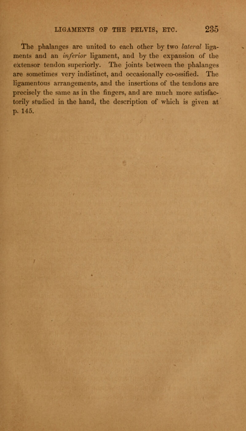 The phalanges are united to each other by two lateral liga- ments and an inferior ligament, and by the expansion of the EOT tendon superiorly. The joints between the phalanges are sometimes very indistinct, and occasionally co-ossified. The ligamentous arrangements, and the insertions of the tendons are precisely the same as in the fingers, and arc much more satisfac- torily studied in the hand, the description of which is given at p. 145.