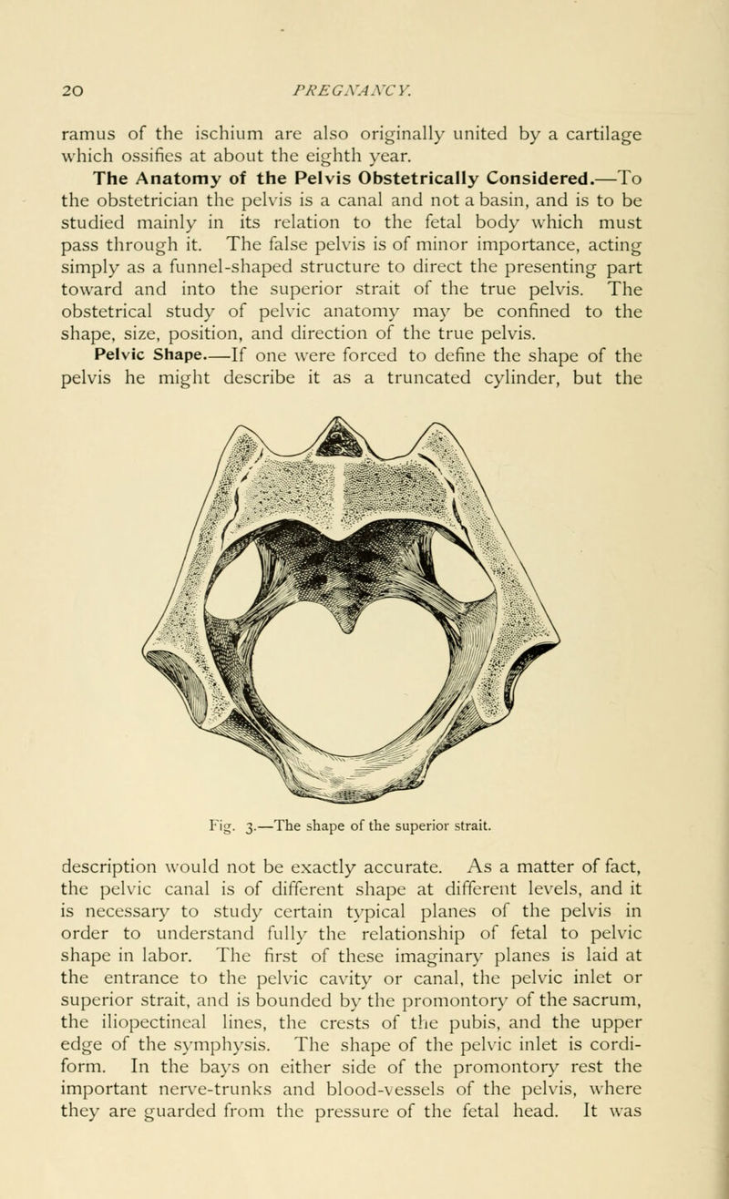 ramus of the ischium are also originally united by a cartilage which ossifies at about the eighth year. The Anatomy of the Pelvis Obstetrically Considered.—To the obstetrician the pelvis is a canal and not a basin, and is to be studied mainly in its relation to the fetal body which must pass through it. The false pelvis is of minor importance, acting simply as a funnel-shaped structure to direct the presenting part toward and into the superior strait of the true pelvis. The obstetrical study of pelvic anatomy may be confined to the shape, size, position, and direction of the true pelvis. Pelvic Shape If one were forced to define the shape of the pelvis he might describe it as a truncated cylinder, but the Fig. 3.—The shape of the superior strait. description would not be exactly accurate. As a matter of fact, the pelvic canal is of different shape at different levels, and it is necessary to study certain typical planes of the pelvis in order to understand fully the relationship of fetal to pelvic shape in labor. The first of these imaginary planes is laid at the entrance to the pelvic cavity or canal, the pelvic inlet or superior strait, and is bounded by the promontory of the sacrum, the iliopectineal lines, the crests of the pubis, and the upper edge of the symphysis. The shape of the pelvic inlet is cordi- form. In the bays on either side of the promontory rest the important nerve-trunks and blood-vessels of the pelvis, where they are guarded from the pressure of the fetal head. It was