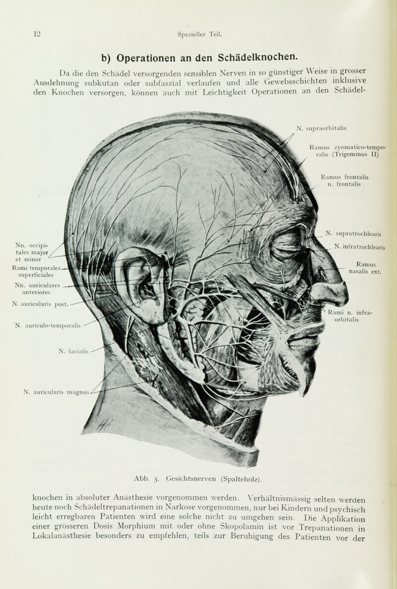 b) Operationen an den Schädelknochen. Da die den Schädel versorgenden sensiblen Nerven in so günstiger Weise in grosser Ausdehnung subkutan oder subfaszial verlaufen und alle Gewebsschichten inklusive den Knochen versorgen, können auch mit Leichtigkeit Operationen an den Schädel- N. supraorbilalis Ramus zyomalico-tempo- ralis (Trigeminus II) Ramiis frontalis n. frontalis Nn. occipi- talcs major,-'' et minor Rami temporales superficiales Nn. auriculares ._ anteriores N. auricularis post N. auriculo-temporalis N. auricularis magnus>; N. supratrochlearis N. iniratrochlcaris Ramus nasalis ext. mi n. infra- orbitalis Abb. 3. Gesichtsnerven (Spalteholz). knochen in absoluter Anästhesie vorgenommen werden. X'erhältnismässig selten werden heute noch Schädeltrepanationen in Narkose vorgenommen, nur bei Kindern und psychisch leicht erregbaren Patienten wird eine solche nicht zu umgehen sein. Die Apphkation einer grösseren Dosis Morphium mit oder ohne Skopolamin ist vor Trepanationen in Lokalanästhesie besonders zu empfehlen, teils zur Beruhigung des Patienten vor der