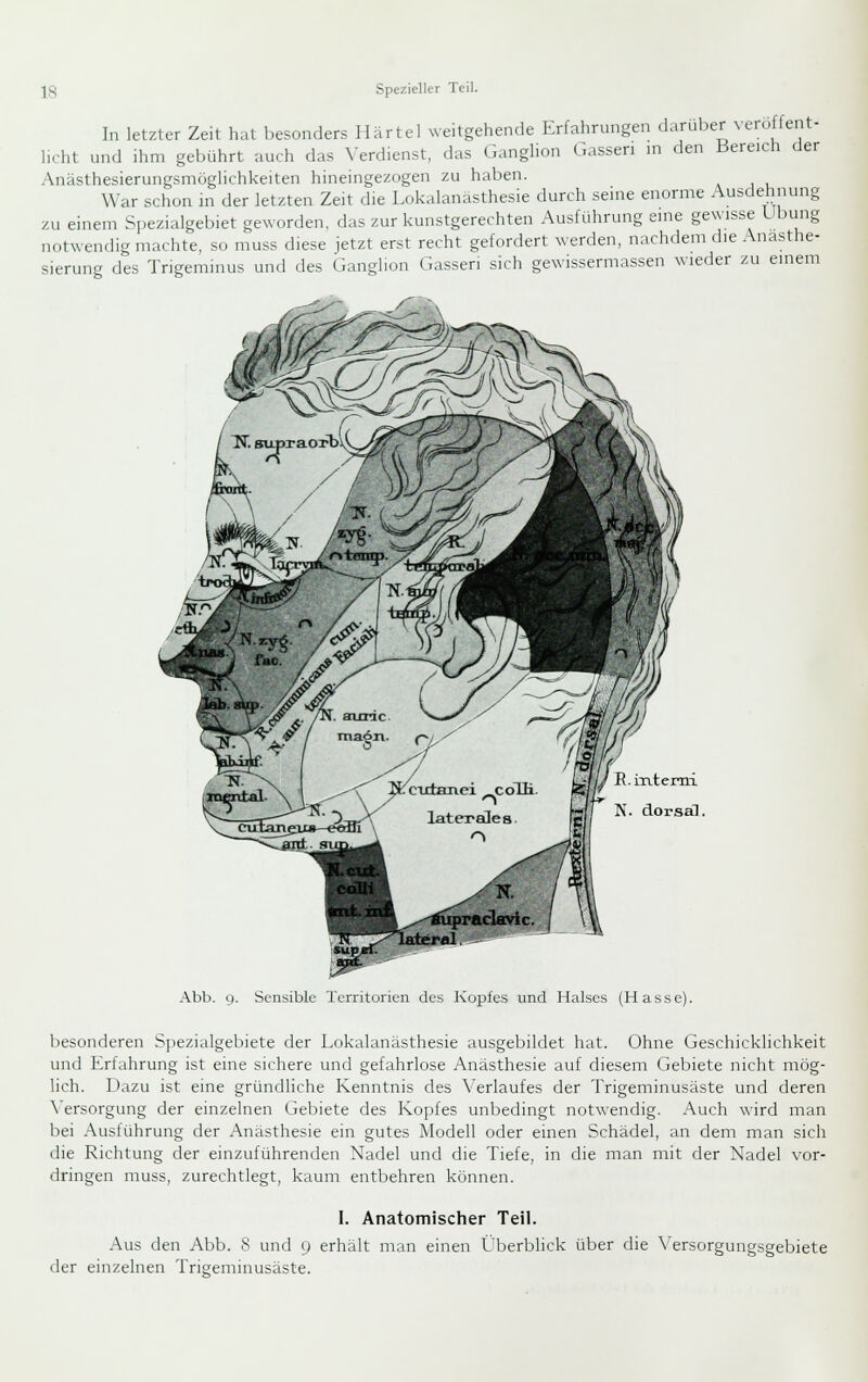 In letzter Zeit hat besonders Härtel weitgehende Erfahrungen darüber veröffent- lirht und ihm gebührt auch das \-erdienst, das Ganghon Gassen ni den Bereich der Anästhesierungsmöghchkeiten hineingezogen zu haben. War schon in der letzten Zeit die Lokalanästhesie durch seine enorme Ausdehnung zu einem Spezialgebiet geworden, das zur kunstgerechten Ausführung eine gewisse Übung notwendig machte, so muss diese jetzt erst recht gefordert werden, nachdem die Anasthe- sierung des Trigeminus und des Ganglion Gasseri sich gewissermassen wieder zu einem r : 'mW ^fJ B. mtemi N. dorsal. Abb. 9. Sensible Territorien des Kopfes und Halses (Hasse). besonderen Spezialgebiete der Lokalanästhesie ausgebildet hat. Ohne Geschicklichkeit und Erfahrung ist eine sichere und gefahrlose Anästhesie auf diesem Gebiete nicht mög- lich. L)azu ist eine gründliche Kenntnis des Verlaufes der Trigeminusäste und deren Versorgung der einzelnen Gebiete des Kopfes unbedingt notwendig. Auch wird man bei Ausführung der Anästhesie ein gutes Modell oder einen Schädel, an dem man sich die Richtung der einzuführenden Nadel und die Tiefe, in die man mit der Nadel vor- dringen muss, zurechtlegt, kaum entbehren können. I. Anatomischer Teil. Aus den Abb. 8 und 9 erhält man einen Überblick über die Versorgungsgebiete der einzelnen Trigeminusäste.