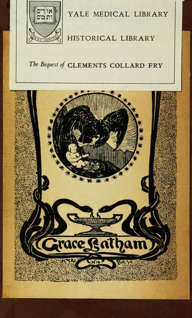 digitised image 2