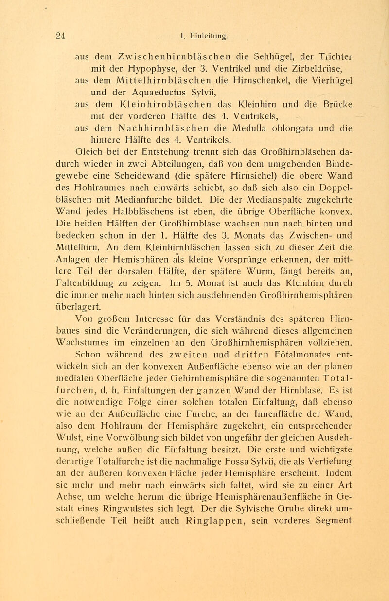 aus dem Zwischenhirnbläschen die Sehhügel, der Trichter mit der Hypophyse, der 3. Ventrikel und die Zirbeldrüse, aus dem Mittelhirnbläschen die Hirnschenkel, die Vierhügel und der Aquaeductus Sylvii, aus dem Kleinhirnbläschen das Kleinhirn und die Brücke mit der vorderen Hälfte des 4. Ventrikels, aus dem Nachhirnbläschen die Medulla oblongata und die hintere Hälfte des 4. Ventrikels. Gleich bei der Entstehung trennt sich das Großhirnbläschen da- durch wieder in zwei Abteilungen, daß von dem umgebenden Binde- gewebe eine Scheidewand (die spätere Hirnsichel) die obere Wand des Hohlraumes nach einwärts schiebt, so daß sich also ein Doppel- bläschen mit Medianfurche bildet. Die der Medianspalte zugekehrte Wand jedes Halbbläschens ist eben, die übrige Oberfläche konvex. Die beiden Hälften der Großhirnblase wachsen nun nach hinten und bedecken schon in der 1. Hälfte des 3. Monats das Zwischen- und Mittelhirn. An dem Kleinhirnbläschen lassen sich zu dieser Zeit die Anlagen der Hemisphären als kleine Vorsprünge erkennen, der mitt- lere Teil der dorsalen Hälfte, der spätere Wurm, fängt bereits an, Faltenbildung zu zeigen. Im 5. Monat ist auch das Kleinhirn durch die immer mehr nach hinten sich ausdehnenden Großhirnhemisphären überlagert. Von großem Interesse für das Verständnis des späteren Hirn- baues sind die Veränderungen, die sich während dieses allgemeinen Wachstumes im einzelnen an den Großhirnhemisphären vollziehen. Schon während des zweiten und dritten Fötalmonates ent- wickeln sich an der konvexen Außenfläche ebenso wie an der planen medialen Oberfläche jeder Gehirnhemisphäre die sogenannten Total- furchen, d. h. Einfaltungen der ganzen Wand der Hirnblase. Es ist die notwendige Folge einer solchen totalen Einfaltung, daß ebenso wie an der Außenfläche eine Furche, an der Innenfläche der Wand, also dem Hohlraum der Hemisphäre zugekehrt, ein entsprechender Wulst, eine Vorwölbung sich bildet von ungefähr dergleichen Ausdeh- nung, welche außen die Einfaltung besitzt. Die erste und wichtigste derartige Totalfurche ist die nachmalige Fossa Sylvii, die als Vertiefung an der äußeren konvexen Fläche jeder Hemisphäre erscheint. Indem sie mehr und mehr nach einwärts sich faltet, wird sie zu einer Art Achse, um welche herum die übrige Hemisphärenaußenfläche in Ge- stalt eines Ringwulstes sich legt. Der die Sylvische Grube direkt um- schließende Teil heißt auch Ringlappen, sein vorderes Segment