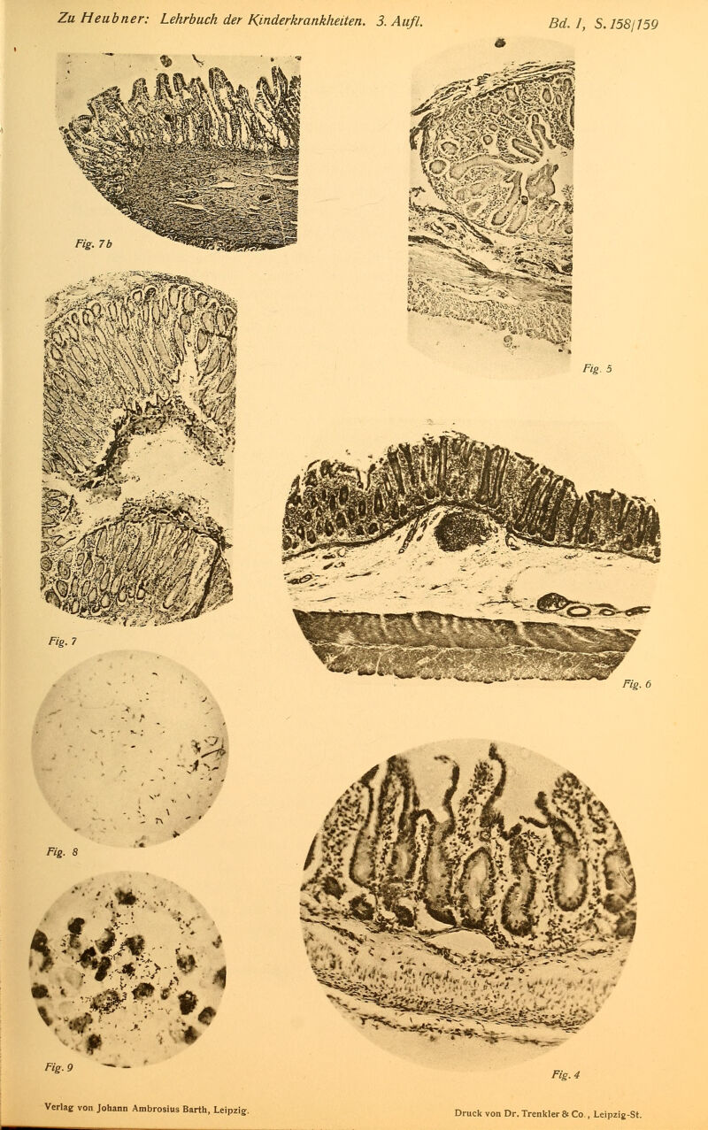 Fig. 6 Fig. 8 VA Verlag von Johann Ambrosius Barth, Leipzig. Fig. 4 Druck von Dr. Trenkler & Co., Leipzig-St.