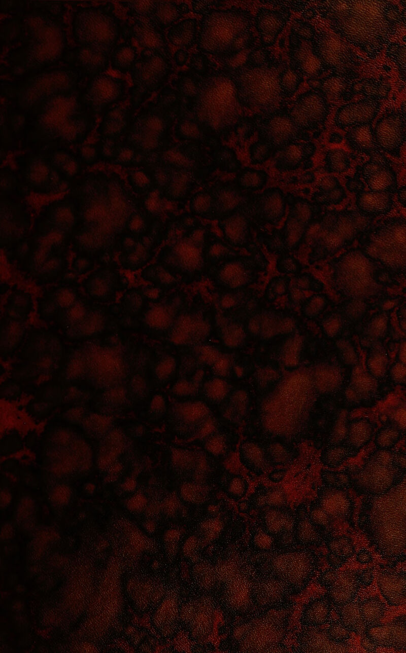 l^iixSmiüJr ■ JKm mm - m*a