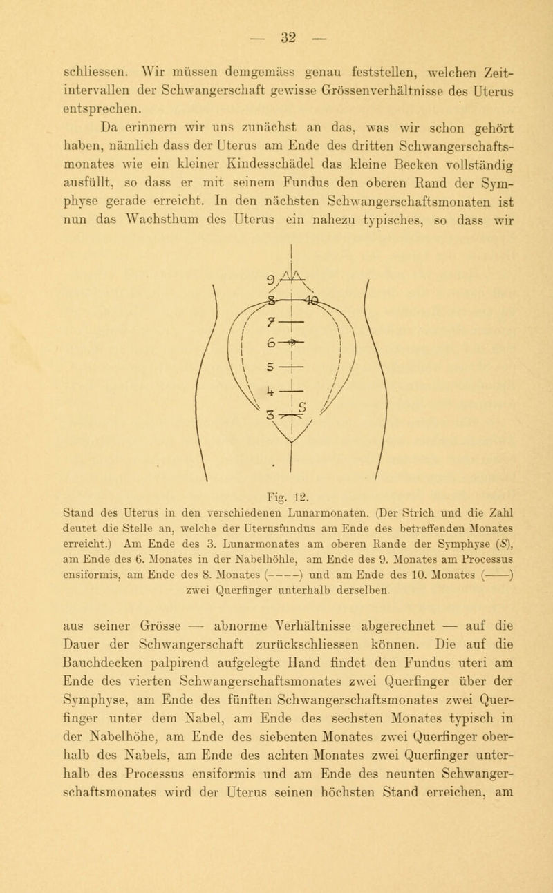 schliessen. Wir müssen demgemäss genau feststellen, welchen Zeit- intervallen der Schwangerschaft gewisse Grössenverhältnisse des Uterus entsprechen. Da erinnern wir uns zunächst an das, was wir schon gehört haben, nämlich dass der Uterus am Ende des dritten Schwangerschafts- monates wie ein kleiner Kindesschädel das kleine Becken vollständig ausfüllt, so dass er mit seinem Fundus den oberen Rand der Sym- physe gerade erreicht. In den nächsten Schwangerschaftsmonaten ist nun das Wachsthum des Uterus ein nahezu typisches, so dass wir v^ ! 6- l i i i N 3^- \ S / ; i i i / , / / // Fig. 12. Stand des Uterus in den verschiedenen Lunarmonaten. (Der Strich und die Zahl deutet die Stelle an, welche der üterusfundus am Ende des betreffenden Monates erreicht.) Am Ende des 3. Lunarmonates am oberen Rande der Symphyse (S), am Ende des 6. Monates in der Nabelhöhle, am Ende des 9. Monates am Processus ensiformis, am Ende des 8. Monates ( ) und am Ende des 10. Monates ( ) zwei Querfinger unterhalb derselben. aus seiner Grösse — abnorme Verhältnisse abgerechnet — auf die Dauer der Schwangerschaft zurückschliessen können. Die auf die Bauchdecken palpirend aufgelegte Hand findet den Fundus uteri am Ende des vierten Schwangerschaftsmonates zwei Querfinger über der Symphyse, am Ende des fünften Schwangerschaftsmonates zwei Quer- finger unter dem Nabel, am Ende des sechsten Monates typisch in der Nabelhöhe, am Ende des siebenten Monates zwei Querfinger ober- halb des Nabels, am Ende des achten Monates zwei Querfinger unter- halb des Processus ensiformis und am Ende des neunten Schwanger- schaftsmonates wird der Uterus seinen höchsten Stand erreichen, am