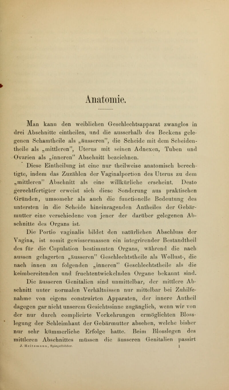 Anatomie. Man kann den weiblichen Geschlechtsapparat zwanglos in drei Abschnitte eintheilen, und die ausserhalb des Beckens gele- genen Schamtheile als „äusseren, die Scheide mit dem Scheiden- theile als „mittleren, Uterus mit seinen Adnexen, Tuben und Ovarien als „inneren Abschnitt bezeichnen. Diese Eintheilung ist eine nur theilweise anatomisch berech- tigte, indem das Zuzählen der Vaginalportion des Uterus zu dem „mittleren Abschnitt als eine willkürliche erscheint. Desto gerechtfertigter erweist sich diese Sonderung aus praktischen Gründen, umsomehr als auch die fnnctionelle Bedeutung des untersten in die Scheide hineinragenden Antheiles der Gebär- mutter eine verschiedene von jener der darüber gelegenen Ab- schnitte des Organs ist. Die Portio vaginalis bildet den natürlichen Abschluss der Vagina, ist somit gewissermassen ein integrirender Bestandtheil des für die Copulation bestimmten Organs, während die nach aussen gelagerten „äusseren Geschlechtstheile als Wollust-, die nach innen zu folgenden „inneren Geschlechtstheile als die keimbereitenden und fruchtentwickelnden Organe bekannt sind. Die äusseren Genitalien sind unmittelbar, der mittlere Ab- schnitt unter normalen Verhältnissen nur mittelbar bei Zuhilfe- nahme von eigens construirten Apparaten, der innere Antlu-il dagegen gar nicht unserem Gesichtssinne zugänglich, wenn wir von der nur durch complicirte Vorkehrungen ermöglichten Bloss- legung der Schleimhaut der Gebärmutter absehen, welche bisher nur sehr kümmerliche Erfolge hatte. Beim Biossiegen des mittleren Abschnittes müssen die äusseren Genitalien passirt J. Heitzmaun, Spiegelbilder. \