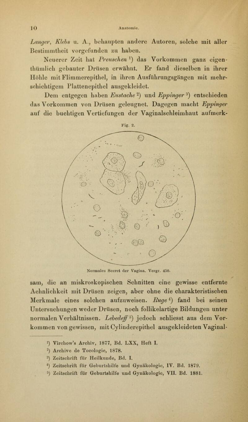 Langer, Klebs u. A., behaupten andere Autoren, solche mit aller Bestimmtheit vorgefunden zu haben. Neuerer Zeit hat Preuschen !) das Vorkommen ganz eigen- tümlich gebauter Drüsen erwähnt. Er fand dieselben in ihrer Hohle mit Flimmerepithel, in ihren Ausführungsgängen mit mehr- schichtigem Plattenepithel ausgekleidet. Dem entgegen haben Eustache 2) und Eppinger 3) entschieden das Vorkommen von Drüsen geleugnet. Dagegen macht Eppinger auf die buchtigen Vertiefungen der Vaginalschleimhaut aufmerk- Fig. 2. Normales Secret der Vagina. Vergr. 450. sam, die an miskroskopischen Schnitten eine gewisse entfernte Aehnlichkeit mit Drüsen zeigen, aber ohne die charakteristischen Merkmale eines solchen aufzuweisen. Buge4) fand bei seinen Untersuchungen weder Drüsen, noch follikelartige Bildungen unter normalen Verhältnissen. Lebedeffb) jedoch schliesst aus dem Vor- kommen von gewissen, mit Cylinderepithel ausgekleideten Vaginal- i) Virchovv's Archiv, 1877, Bd. LXX, Heft I. 2) Archive de Tocologie, 1878. 3) Zeitschrift für Heilkunde, Bd. I. 4) Zeitschrift für Geburtshilfe und Gynäkologie, IV. Bd. 1879. 5) Zeitschrift für Geburtshilfe und Gynäkologie, VII. Bd. 1881.