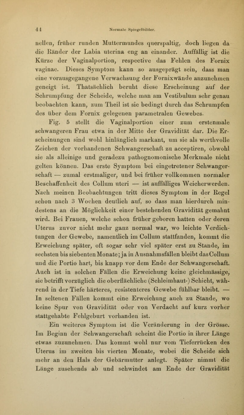 Hellen, früher runden Muttermundes querspaltig, doch liegen da die Ränder der Labia uterina eng an einander. Auffällig ist die Kürze der Vaginalportion, respective das Fehlen des Fornix vaginae. Dieses Symptom kann so ausgeprägt sein, dass man eine vorausgegangene Verwachsung der Fornixwände anzunehmen geneigt ist. Thatsächlich beruht diese Erscheinung auf der Schrumpfung der Scheide, welche man am Vestibulum sehr genau beobachten kann, zum Theil ist sie bedingt durch das Schrumpfen des über dem Fornix gelegenen parametralen Gewebes. Fig. 5 stellt die Vaginalportion einer zum erstenmale schwangeren Frau etwa in der Mitte der Gravidität dar. Die Er- scheinungen sind wohl hinlänglich markant, um sie als werthvolle Zeichen der vorhandenen Schwangerschaft zu acceptiren, obwohl sie als alleinige und geradezu pathognomonische Merkmale nicht gelten können. Das erste Symptom bei eingetretener Schwanger- schaft — zumal erstmaliger, und bei früher vollkommen normaler Beschaffenheit des Collum uteri — ist auffälliges Weicherwerden. Nach meinen Beobachtungen tritt dieses Symptom in der Regel schon nach 3 Wochen deutlich auf, so dass man hierdurch min- destens an die Möglichkeit einer bestehenden Gravidität gemahnt wird. Bei Frauen, welche schon früher geboren hatten oder deren Uterus zuvor nicht mehr ganz normal war, wo leichte Verdich- tungen der Gewebe, namentlich im Collum stattfanden, kommt die Erweichung später, oft sogar sehr viel später erst zu Stande, im sechsten bis siebenten Monate; ja in Ausnahmsfällen bleibt das Collum und die Portio hart, bis knapp vor dem Ende der Schwangerschaft. Auch ist in solchen Fällen die Erweichung keine gleichmässige, sie betrifft vorzüglich die oberflächliche (Schleimhaut-) Schicht, wäh- rend in der Tiefe härteres, resistenteres Gewebe fühlbar bleibt. — In seltenen Fällen kommt eine Erweichung auch zu Stande, wo keine Spur von Gravidität oder von Verdacht auf kurz vorher stattgehabte Fehlgeburt vorhanden ist. Ein weiteres Symptom ist die Veränderung in der Grösse. Im Beginn der Schwangerschaft scheint die Portio in ihrer Länge etwas zuzunehmen. Das kommt wohl nur vom Tieferrücken des Uterus im zweiten bis vierten Monate, wobei die Scheide sich mehr an den Hals der Gebärmutter anlegt. Später nimmt die Länge zusehends ab und schwindet am Ende der Gravidität