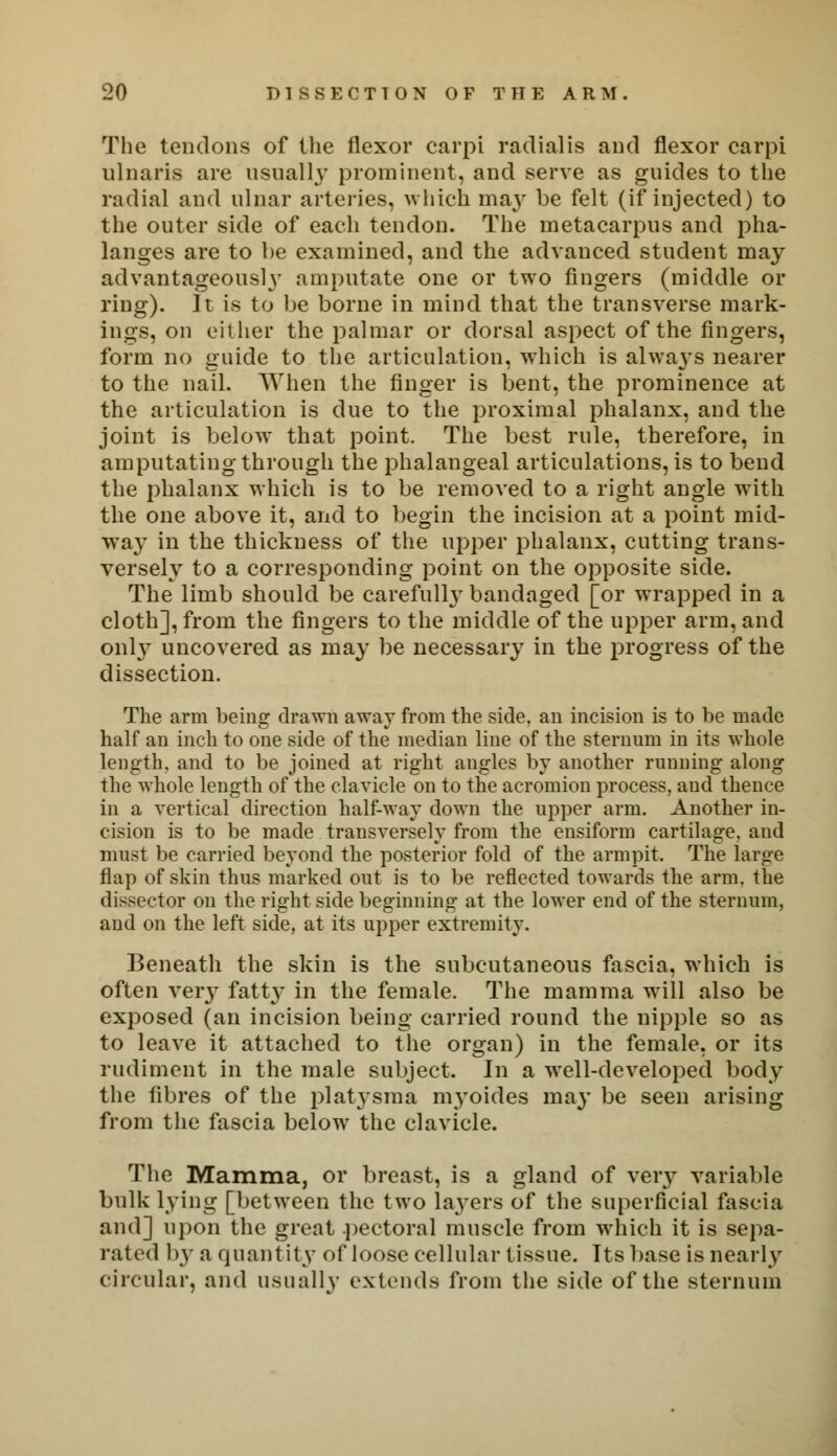 The tendons of the flexor carpi radial is and flexor carpi ulnaris are usually prominent, and serve as guides to the radial and ulnar arteries, which may be felt (if injected) to the outer side of each tendon. The metacarpus and pha- langes are to be examined, and the advanced student may advantageously amputate one or two fingers (middle or ring). It is to be borne in mind that the transverse mark- ings, on either the palmar or dorsal aspect of the fingers, form no guide to the articulation, which is always nearer to the nail. When the finger is bent, the prominence at the articulation is due to the proximal phalanx, and the joint is below that point. The best rule, therefore, in amputating through the phalangeal articulations, is to bend the phalanx which is to be removed to a right angle with the one above it, and to begin the incision at a point mid- way in the thickness of the upper phalanx, cutting trans- versely to a corresponding point on the opposite side. The limb should be carefully bandaged [or wrapped in a cloth], from the fingers to the middle of the upper arm, and onl}7 uncovered as may be necessary in the progress of the dissection. The arm being drawn away from the side, an incision is to be made half an inch to one side of the median line of the sternum in its whole length, and to be joined at right angles by another running along the whole length of the clavicle on to the acromion process, and thence in a vertical direction half-way down the upper arm. Another in- cision is to be made transversely from the ensiform cartilage, and must be carried beyond the posterior fold of the armpit. The large flap of skin thus marked out is to be reflected towards the arm. the dissector on the right side beginning at the lower end of the sternum, and on the left side, at its upper extremity. Beneath the skin is the subcutaneous fascia, which is often very fatty in the female. The mamma will also be exposed (an incision being carried round the nipple so as to leave it attached to the organ) in the female, or its rudiment in the male subject. In a well-developed body the fibres of the plat}-sma myoides ma}' be seen arising from the fascia below the clavicle. The Mamma, or breast, is a gland of very variable bulk lying [between the two layers of the superficial fascia and] upon the great pectoral muscle from which it is sepa- rated by a quantity of loose cellular tissue. Its base is nearly circular, and usually extends from the side of the sternum