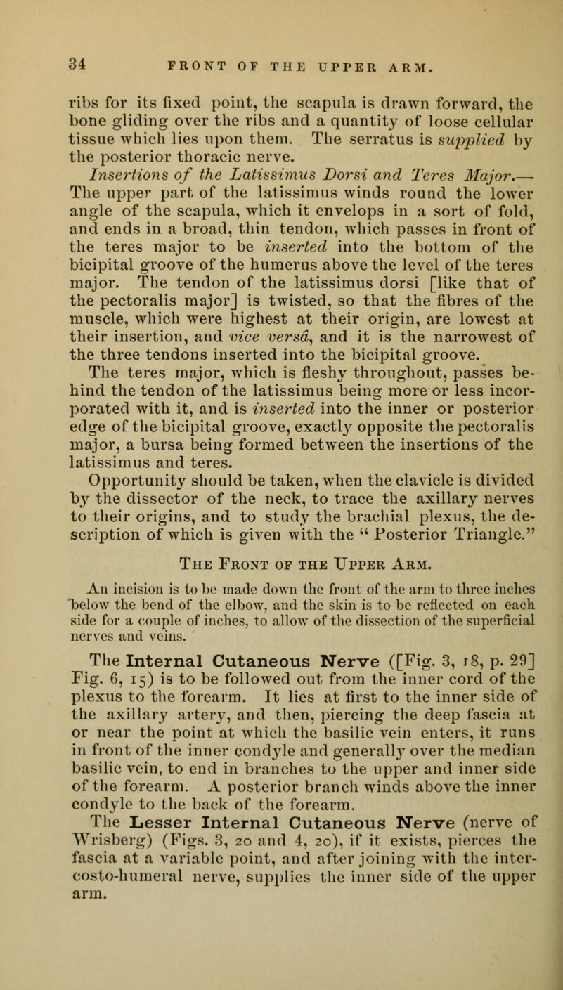 ribs for its fixed point, the scapula is drawn forward, the bone gliding over the ribs and a quantity of loose cellular tissue which lies upon them. The serratus is supplied by the posterior thoracic nerve. Insertions of the Latissimus Dor si and Teres Major.— The upper part of the latissimus winds round the lower angle of the scapula, which it envelops in a sort of fold, and ends in a broad, thin tendon, which passes in front of the teres major to be inserted into the bottom of the bicipital groove of the humerus above the level of the teres major. The tendon of the latissimus dorsi [like that of the pectoralis major] is twisted, so that the fibres of the muscle, which were highest at their origin, are lowest at their insertion, and vice versa, and it is the narrowest of the three tendons inserted into the bicipital groove. The teres major, which is fleshy throughout, passes be- hind the tendon of the latissimus being more or less incor- porated with it, and is inserted into the inner or posterior edge of the bicipital groove, exactlv opposite the pectoralis major, a bursa being formed between the insertions of the latissimus and teres. Opportunity should be taken, when the clavicle is divided by the dissector of the neck, to trace the axillary nerves to their origins, and to study the brachial plexus, the de- scription of which is given with the  Posterior Triangle. The Front of the Upper Arm. An incision is to be made down the front of the arm to three inches below the bend of the elbow, and the skin is to be reflected on each side for a couple of inches, to allow of the dissection of the superficial nerves and veins. The Internal Cutaneous Nerve ([Fig. 3, r8, p. 29] Fig. 6, 15) is to be followed out from the inner cord of the plexus to the forearm. It lies at first to the inner side of the axillary artery, and then, piercing the deep fascia at or near the point at which the basilic vein enters, it runs in front of the inner condyle and general^ over the median basilic vein, to end in branches to the upper and inner side of the forearm. A posterior branch winds above the inner condyle to the back of the forearm. The Lesser Internal Cutaneous Nerve (nerve of Wrisberg) (Figs. 3, 20 and 4, 20), if it exists, pierces the fascia at a variable point, and after joining with the inter- costo-humeral nerve, supplies the inner side of the upper arm.