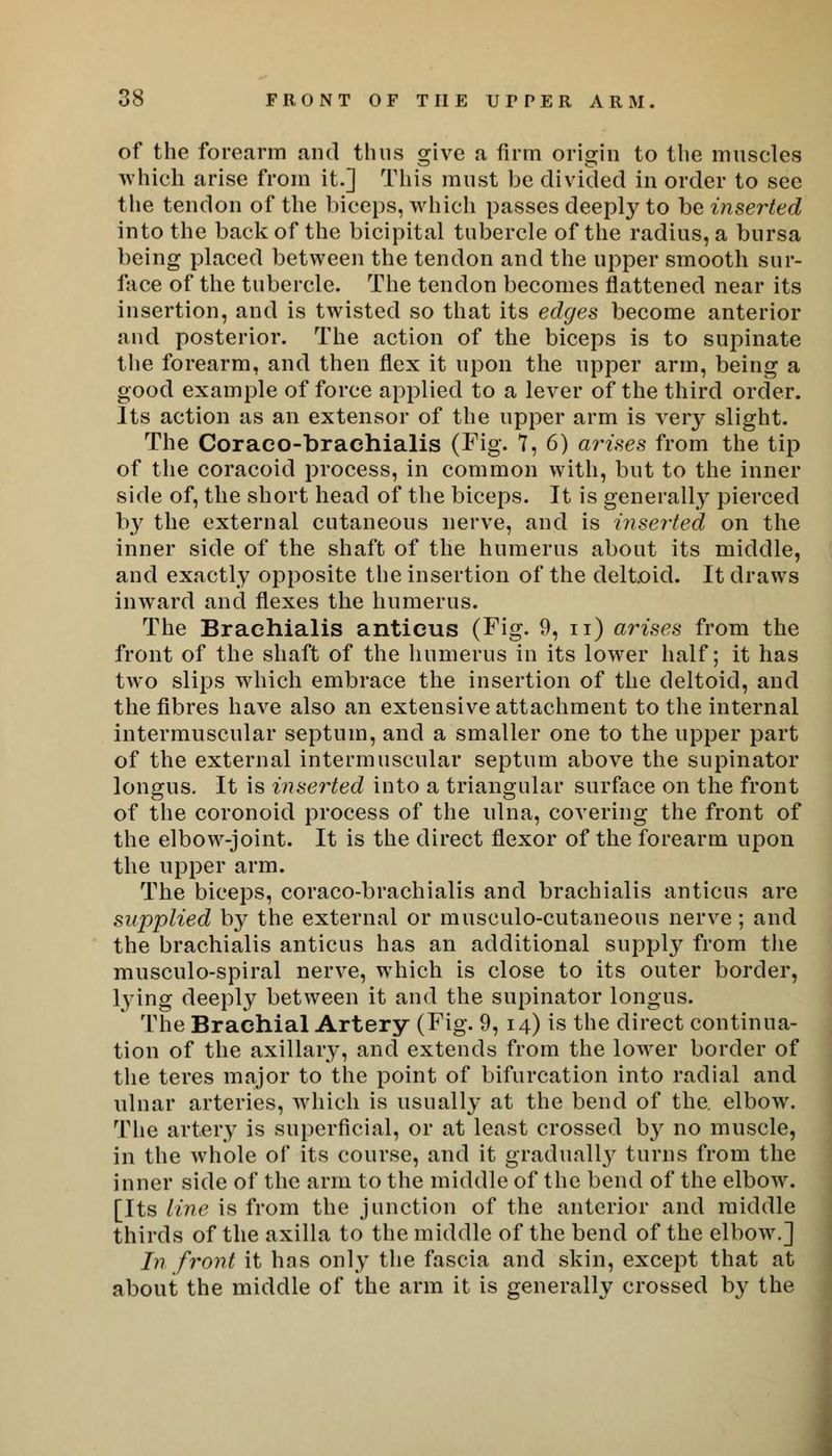 of the forearm and thus give a firm origin to the mnseles which arise from it.] This must be divided in order to see the tendon of the biceps, which passes deeply to be inserted into the back of the bicipital tubercle of the radius, a bursa being placed between the tendon and the upper smooth sur- face of the tubercle. The tendon becomes flattened near its insertion, and is twisted so that its edges become anterior and posterior. The action of the biceps is to supinate the forearm, and then flex it upon the upper arm, being a good example of force applied to a lever of the third order. Its action as an extensor of the upper arm is very slight. The Coraco-braehialis (Fig. 7, 6) arises from the tip of the coracoid process, in common with, but to the inner side of, the short head of the biceps. It is generally pierced by the external cutaneous nerve, and is inserted on the inner side of the shaft of the humerus about its middle, and exactly opposite the insertion of the deltoid. It draws inward and flexes the humerus. The Brachialis antieus (Fig. 9, n) arises from the front of the shaft of the humerus in its lower half; it has two slips which embrace the insertion of the deltoid, and the fibres have also an extensive attachment to the internal intermuscular septum, and a smaller one to the upper part of the external intermuscular septum above the supinator longus. It is inserted into a triangular surface on the front of the coronoid process of the ulna, covering the front of the elbow-joint. It is the direct flexor of the forearm upon the upper arm. The biceps, coraco-brachialis and brachialis antieus are supplied by the external or musculocutaneous nerve; and the brachialis antieus has an additional supply from the musculo-spiral nerve, which is close to its outer border, lying deeply between it and the supinator longus. The Brachial Artery (Fig. 9,14) is the direct continua- tion of the axillary, and extends from the lower border of the teres major to the point of bifurcation into radial and ulnar arteries, which is usually at the bend of the. elbow. The artery is superficial, or at least crossed by no muscle, in the whole of its course, and it gradually turns from the inner side of the arm to the middle of the bend of the elbow. [Its line is from the junction of the anterior and middle thirds of the axilla to the middle of the bend of the elbow.] In front it has only the fascia and skin, except that at about the middle of the arm it is generally crossed by the