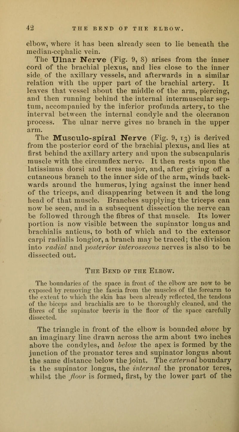 elbow, where it has been already seen to lie beneath the median-cephalic vein. The Ulnar Nerve (Fig. 9, 8) arises from the inner cord of the brachial plexus, and lies close to the inner side of the axillary vessels, and afterwards in a similar relation with the upper part of the brachial artery. It leaves that vessel about the middle of the arm, piercing, and then running behind the internal intermuscular sep- tum, accompanied by the inferior profunda artery, to the interval between the internal condyle and the olecranon process. The ulnar nerve gives no branch in the upper arm. The Musculo-spiral Nerve (Fig. 9, 13) is derived from the posterior cord of the brachial plexus, and lies at first behind the axillary artery and upon the subscapulars muscle with the circumflex nerve. It then rests upon the latissimus dorsi and teres major, and, after giving off a cutaneous branch to the inner side of the arm, winds back- wards around the humerus, lying against the inner head of the triceps, and disappearing between it and the long- head of that muscle. Branches supplying the triceps can now be seen, and in a subsequent dissection the nerve can be followed through the fibres of that muscle. Its lower portion is now visible between the supinator longus and brachialis anticus, to both of which and to the extensor carpi radialis longior, a branch ma}^ be traced; the division into radial and posterior interosseous nerves is also to be dissected out. The Bend or the Elbow. The boundaries of the space in front of the elbow are now to be exposed by removing the fascia from the muscles of the forearm to the extent to which the skin has been already reflected, the tendons of the biceps and brachialis are to be thoroughly cleaned, and the fibres of the supinator brevis in the floor of the space carefully dissected. The triangle in front of the elbow is bounded above by an imaginary line drawn across the arm about two inches above the condjdes, and below the apex is formed by the junction of the pronator teres and supinator longus about the same distance below the joint. The external boundary is the supinator longus, the internal the pronator teres, whilst the floor is formed, first, by the lower part of the
