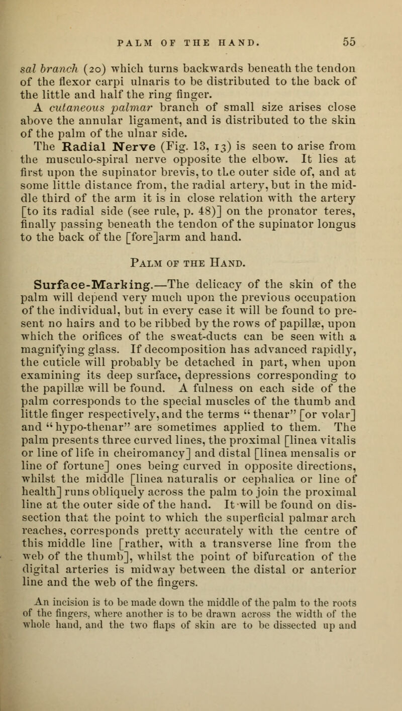 sal branch (20) which turns backwards beneath the tendon of the flexor carpi ulnaris to be distributed to the back of the little and half the ring finger. A cutaneous palmar branch of small size arises close above the annular ligament, and is distributed to the skin of the palm of the ulnar side. The Radial Nerve (Fig. 13, 13) is seen to arise from the musculo-spiral nerve opposite the elbow. It lies at first upon the supinator brevis, to tLe outer side of, and at some little distance from, the radial artery, but in the mid- dle third of the arm it is in close relation with the artery [to its radial side (see rule, p. 48)] on the pronator teres, finally passing beneath the tendon of the supinator longus to the back of the [fore] arm and hand. Palm of the Hand. Surface-Marking.—The delicacy of the skin of the palm will depend very much upon the previous occupation of the individual, but in every case it will be found to pre- sent no hairs and to be ribbed by the rows of papilla?, upon which the orifices of the sweat-ducts can be seen with a magnifying glass. If decomposition has advanced rapidly, the cuticle will probably be detached in part, when upon examining its deep surface, depressions corresponding to the papilla? will be found. A fulness on each side of the palm corresponds to the special muscles of the thumb and little finger respective!}', and the terms  thenar [or volar] and  li3Tpo-thenar are sometimes applied to them. The palm presents three curved lines, the proximal [linea vitalis or line of life in cheiromancy] and distal [linea mensalis or line of fortune] ones being curved in opposite directions, whilst the middle [linea naturalis or cephalica or line of health] runs obliquely across the palm to join the proximal line at the outer side of the hand. It will be found on dis- section that the point to which the superficial palmar arch reaches, corresponds pretty accurately with the centre of this middle line [rather, with a transverse line from the web of the thumb], whilst the point of bifurcation of the digital arteries is midway between the distal or anterior line and the web of the fingers. An incision is to be made down the middle of the palm to the roots of the fingers, where another is to be drawn across the width of the whole hand, and the two flaps of skin are to be dissected up and