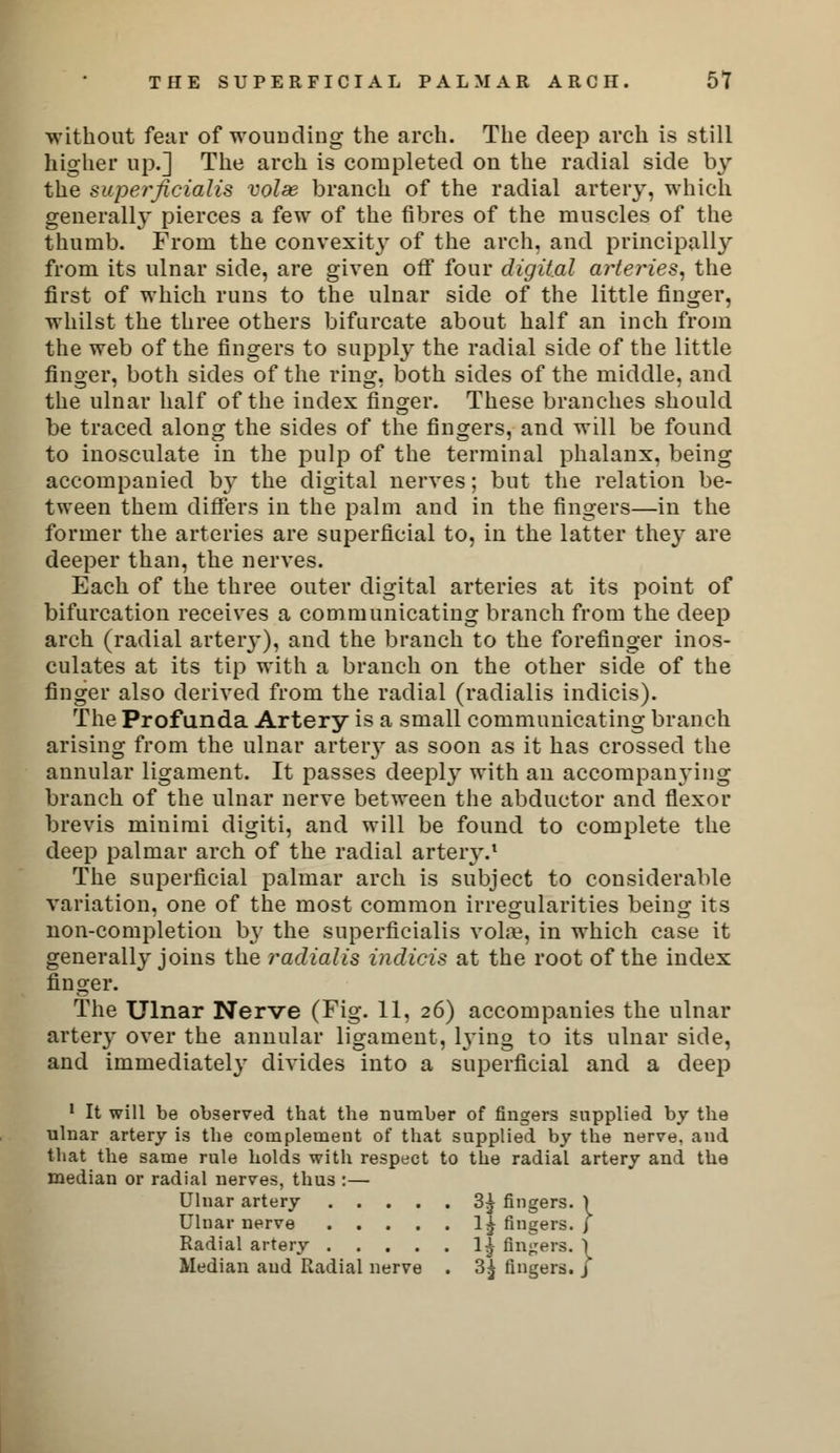 without fear of wounding the arch. The deep arch is still higher up.] The arch is completed on the radial side by the superficialis volae branch of the radial artery, which generally pierces a few of the fibres of the muscles of the thumb. From the convexity of the arch, and principally from its ulnar side, are given off four digital arteries, the first of which runs to the ulnar side of the little finger, whilst the three others bifurcate about half an inch from the web of the fingers to supply the radial side of the little finger, both sides of the ring, both sides of the middle, and the ulnar half of the index finger. These branches should be traced along the sides of the fingers, and will be found to inosculate in the pulp of the terminal phalanx, being accompanied hy the digital nerves; but the relation be- tween them differs in the palm and in the fingers—in the former the arteries are superficial to, in the latter they are deeper than, the nerves. Each of the three outer digital arteries at its point of bifurcation receives a communicating branch from the deep arch (radial artery), and the branch to the forefinger inos- culates at its tip with a branch on the other side of the finger also derived from the radial (radialis indicis). The Profunda Artery is a small communicating branch arising from the ulnar arteiy as soon as it has crossed the annular ligament. It passes deeply with an accompanying branch of the ulnar nerve between the abductor and flexor brevis minimi digiti, and will be found to complete the deep palmar arch of the radial artery.1 The superficial palmar arch is subject to considerable variation, one of the most common irregularities being its non-completion by the superficialis voire, in which case it generally joins the radialis indicis at the root of the index finger. The Ulnar Nerve (Fig. 11, 26) accompanies the ulnar artery over the annular ligament, 13'ing to its ulnar side, and immediately divides into a superficial and a deep 1 It will be observed that the number of fingers supplied by the ulnar artery is the complement of that supplied by the nerve, and that the same rule holds with respect to the radial artery and the median or radial nerves, thus :— Ulnar artery 3^ fingers. ) 5. j Ulnar nerve 1£ fingers Radial artery 1^ finders Median and Radial nerve . 3^ fingers