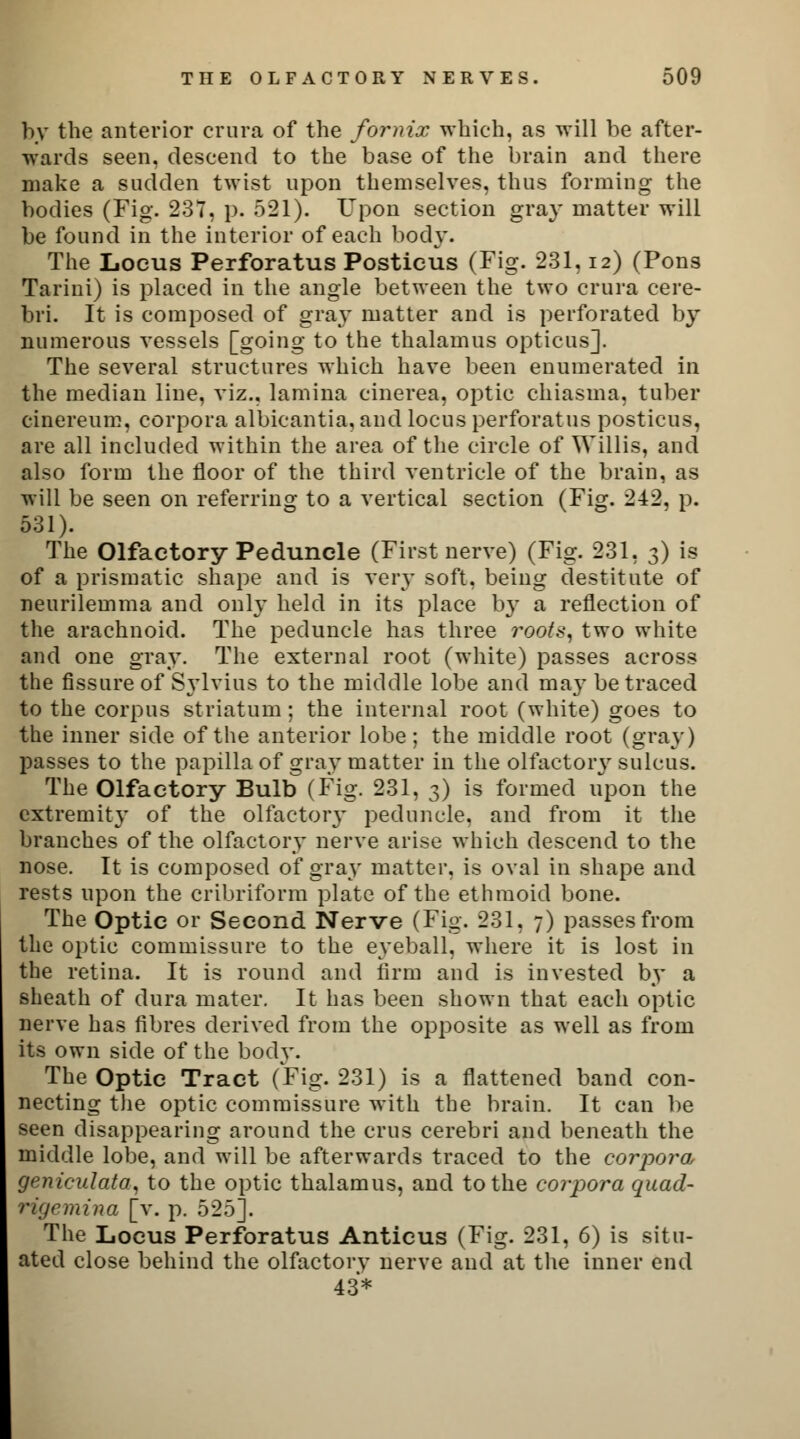 by the anterior crura of the fornix which, as will be after- wards seen, descend to the base of the brain and there make a sudden twist upon themselves, thus forming the bodies (Fig. 237, p. 521). Upon section gray matter will be found in the interior of each body. The Locus Perforatus Posticus (Fig. 231,12) (Pons Tarini) is placed in the angle between the two crura cere- bri. It is composed of gray matter and is perforated by numerous vessels [going to the thalamus opticus]. The several structures which have been enumerated in the median line, viz., lamina cinerea, optic chiasma, tuber cinereum, corpora albicantia, and locus perforatus posticus, are all included within the area of the circle of Willis, and also form the floor of the third ventricle of the brain, as will be seen on referring to a vertical section (Fig. 242. p. 531). The Olfactory Peduncle (First nerve) (Fig. 231, 3) is of a prismatic shape and is very soft, being destitute of neurilemma and only held in its place by a reflection of the arachnoid. The peduncle has three roots, two white and one gray. The external root (white) passes across the fissure of Sylvius to the middle lobe and may be traced to the corpus striatum; the internal root (white) goes to the inner side of the anterior lobe; the middle root (gray) passes to the papilla of gray matter in the olfactoiy sulcus. The Olfactory Bulb (Fig. 231, 3) is formed upon the extremity of the olfactoiy peduncle, and from it the branches of the olfactory nerve arise which descend to the nose. It is composed of gray matter, is oval in shape and rests upon the cribriform plate of the ethmoid bone. The Optic or Second Nerve (Fig. 231, 7) passes from the optic commissure to the eyeball, where it is lost in the retina. It is round and firm and is invested by a sheath of dura mater. It has been shown that each optic nerve has fibres derived from the opposite as well as from its own side of the body. The Optic Tract (Fig. 231) is a flattened band con- necting the optic commissure with the brain. It can be seen disappearing around the cms cerebri and beneath the middle lobe, and will be afterwards traced to the corpora geniculater, to the optic thalamus, and to the corpora quad- rigemina [v. p. 525]. The Locus Perforatus Anticus (Fig. 231, 6) is situ- ated close behind the olfactorv nerve and at the inner end 43*