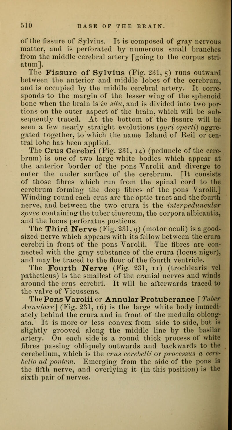 of the fissure of Sylvius. It is composed of gray nervous mutter, and is perforated by numerous small branches from the middle cerebral artery [going to the corpus stri- atum]. The Fissure of Sylvius (Fig. 231, 5) runs outward between the anterior and middle lobes of the cerebrum, and is occupied by the middle cerebral artery. It corre- sponds to the margin of the lesser wing of the sphenoid bone when the brain is in situ, and is divided into two por- tions on the outer aspect of the brain, which will be sub- sequently traced. At the bottom of the fissure will be seen a few nearly straight evolutions (gyri operti) aggre- gated together, to which the name Island of Reil or cen- tral lobe has been applied. The Crus Cerebri (Fig. 231, 14) (peduncle of the cere- brum) is one of two large white bodies which appear at the anterior border of the pons Varolii and diverge to enter the under surface of the cerebrum. [It consists of those fibres which run from the spinal cord to the cerebrum forming the deep fibres of the pons Varolii.] Winding round each crus are the optic tract and the fourth nerve, and between the two crura is the interpeduncular space containing the tuber cinereum, the corpora albicantia, and the locus perforatus posticus. The Third Nerve (Fig. 231, 9) (motor oculi) is a good- sized nerve which appears with its fellow between the crura cerebri in front of the pons Varolii. The fibres are con- nected with the gray substance of the crura (locus niger), and may be traced to the floor of the fourth ventricle. The Fourth Nerve (Fig. 231, 11) (trochlearis vel patheticus) is the smallest of the cranial nerves and winds around the crus cerebri. It will be afterwards traced to the valve of Vieussens. The Pons Varolii or Annular Protuberance [ Tuber Annulare] (Fig. 231, 16) is the large white body immedi- ately behind the crura and in front of the medulla oblong- ata. It is more or less convex from side to side, but is slightly grooved along the middle line by the basilar artery. On each side is a round thick process of white fibres passing obliquely outwards and backwards to the cerebellum, which is the crus cerebelli or processus a hello ad pontem. Emerging from the side of the pons is the fifth nerve, and overlying it (in this position) is the sixth pair of nerves.