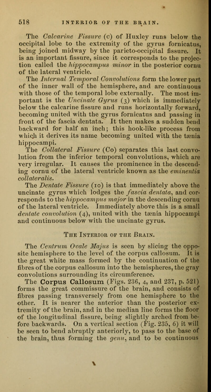 The Calcarine Fissure (c) of Huxley runs below the occipital lobe to the extremity of the gyrus fornicatus, being joined midway by the parieto-occipital fissure. It is an important fissure, since it corresponds to the projec- tion called the hippocampus minor in the posterior cornu of the lateral ventricle. The Internal Temporal Convolutions form the lower part of the inner wall of the hemisphere, and are continuous with those of the temporal lobe externally. The most im- portant is the Uncinate Gyrus (3) which is immediately below the calcarine fissure and runs horizontally forward, becoming united with the gyrus fornicatus and passing in front of the fascia dentata. It then makes a sudden bend backward for half an inch; this hook-like process from whic.li it derives its name becoming united with the taenia hippocampi. The Collateral Fissure (Co) separates this last convo- lution from the inferior temporal convolutions, which are very irregular. It causes the prominence in the descend- ing cornu of the lateral ventricle known as the eminentia collateralis. The Dentate Fissure (10) is that immediately above the uncinate gyrus which lodges the fascia dentata, and cor- responds to the hippocampus major in the descending cornu of the lateral ventricle. Immediately above this is a small dentate convolution (4), united with the taenia hippocampi and continuous below with the uncinate gyrus. The Interior op the Brain. The Centrum Ovale Majus is seen by slicing the oppo- site hemisphere to the level of the corpus callosum. It is the great white mass formed by the continuation of the fibres of the corpus callosum into the hemispheres, the gray convolutions surrounding its circumference. The Corpus Callosum (Figs. 236, 4, and 231, p. 521) forms the great commissure of the brain, and consists of fibres passing transversely from one hemisphere to the other. It is nearer the anterior than the posterior ex- tremity of the brain, and in the median line forms the floor of the longitudinal fissure, being slightly arched from be- fore backwards. On a vertical section (Fig. 235, 6) it will be seen to bend abruptly anteriorlj^, to pass to the base of the brain, thus forming the genu, and to be continuous