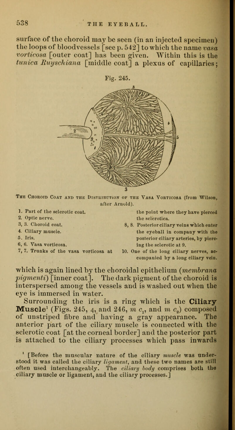 surface of the choroid may be seen (in an injected specimen) the loops of bloodvessels [see p. 542] to which the name vasa vorticosa [outer coat] has been given. Within this is the tunica Ruyschiana [middle coat] a plexus of capillaries; 3 The Choroid Coat axd the Distribution of the Vasa Vorticosa (from Wilson, after Arnold). 1. Part of the sclerotic coat. the point where they have pierced 2. Optic nerve. the sclerotica. 3,3. Choroid coat. 8,8. Posterior ciliary veins which enter 4. Ciliary muscle. the eyeball in company with the 5 • Iris. posterior ciliary arteries, by pierc- 6, 6. Vasa vorticosa. ing the sclerotic at 9. 7, 7. Trunks of the vasa vorticosa at 10. One of the long ciliary nerves, ac- companied by a long ciliary vein. which is again lined by the choroidal epithelium (membrana pigmenti) [inner coat]. The dark pigment of the choroid is interspersed among the vessels and is washed out when the eye is immersed in water. Surrounding the iris is a ring which is the Ciliary Muscle1 (Figs. 245, 4, and 246, m cx, and m c2) composed of unstriped fibre and having a gray appearance. The anterior part of the ciliary muscle is connected with the sclerotic coat [at the corneal border] and the posterior part is attached to the ciliary processes which pass inwards [Before the muscular nature of the ciliary muscle was under- stood it was called the ciliary ligament, and these two names are still often used interchangeably. The ciliary body comprises both the ciliary muscle or ligament, and the ciliary processes.]