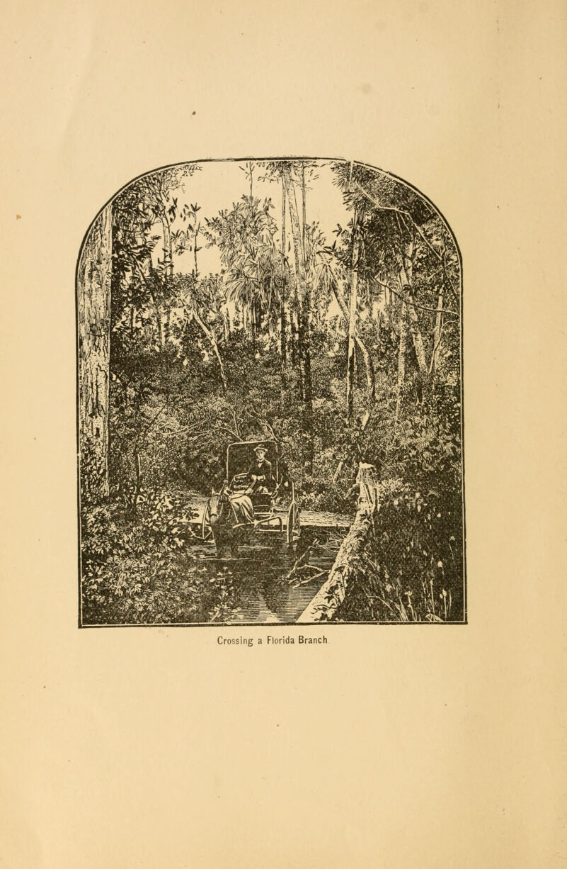 Crossing a Florida Branch