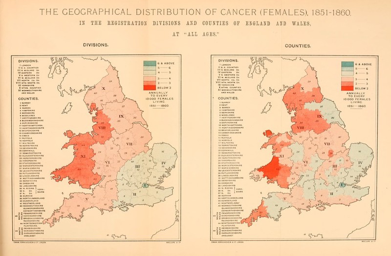 THE GEOGRAPHICAL DISTRIBUTION OF CANCER (FEMALES), 1851-1860, IN THE REGISTRATION DIVISIONS AND COUNTIES OF ENGLAND AND WALES. AT -ALL AGES. DIVISIONS. COUNTIES. DIVISIONS