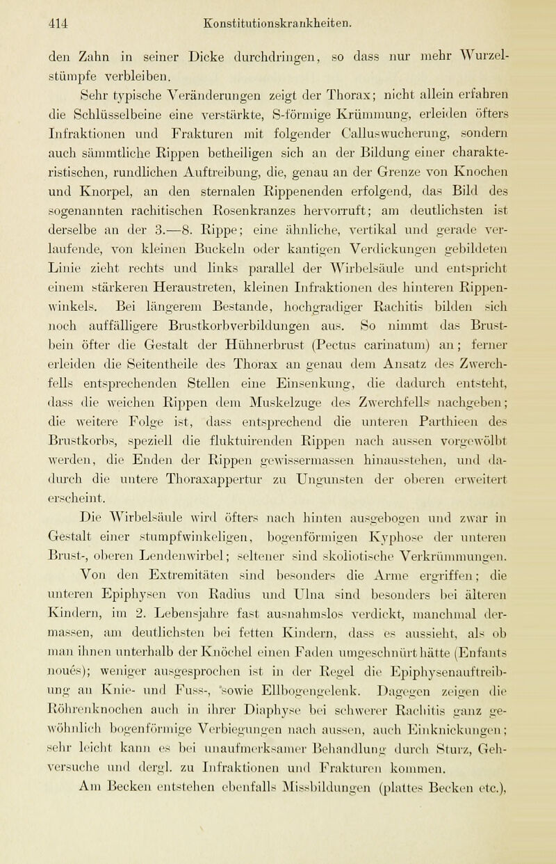 den Zahn in seiner Dicke durchdringen, so dass nur mehr Wurzel- stümpfe verbleiben. Sehr typische Veränderungen zeigt der Thorax; nicht allein erfahren die Schlüsselbeine eine verstärlcte, S-förmige Krünnnung, erleiden öfters Infraktionen und Frakturen mit folgender C'aliusWucherung, sondern auch siinnntliche Ripjjen betheiligeji sich an der Bildung einer charakte- ristischen, rundlichen Auftreibuug, die, genau an der Grenze von Knochen und Knorpel, an ilen sternalen Rippenenden erfolgend, das Bild des sogenannten rachitischen Rosenkranzes hervorruft; am deutlichsten ist derselbe an der 3.—8. Rippe; eine ähnliche, vertikal und gerade ver- laufende, von kleinen Buckeln oder kantigen Verdickungen gebildeten Linie zieht rechts und links jjarallel der Wii'belsäule und entspricht einem stärkeren Hei-austreten, kleinen Infraktionen des hinteren Rippen- winkels. Bei längerem Bestände, hochgradiger Rachitis bilden sich nocli auffälligere Brustkorbverbildungen aus. So nimmt das Brust- bein öfter die Gestalt der Hühnerbrust (Pectus carinatum) an; ferner erleiden die Seitentheile des Thorax an genau dem Ansatz des Zwerch- fells entsprechenden Stellen eine Einsenkung, die dadurch entsteht, dass die weichen Rippen dem Muskelzuge des Zwerchfells nachgeben; die weitere Folge ist, dass entsprechend die unteren Parthieen des Brustkorbs, speziell die fluktuirenden Rippen nach aussen vorgewölbt werden, die Enden der Rippen gewisserniassen hinausstehen, und da- dirrch die untere Thoraxappertur zu Ungunsten der oliereji erweitert ersclieint. Die Wirbelsäule wii'd öfters nacli Iiinten ausgebogen und zwar in Gestalt einer stumpfwinkeligen, bogenförmigen Kyphosi» <ler unteren Brust-, oberen Lenden^virbel; seltener sind slitiliotisehe Verkrümmungen. Von den Extremitäten sind liesonders die Arme ergriffen; die unteren Epiphysen von Radius ujul Ulna sind besonders hei älteren Kindern, im 2. Lebensjahre fast ausnahmslos verdickt, manchmal der- massen, am deutlichsten bei fetten Kindern, dass es aussieht, als ob man ihnen unterhalb derKnöcliel einen Faden umgeschnürt liätte (Enfants noues); wejiiger ausgesproclien ist in der Regel die Epiphysenauftreib- ung an Knie- und Fuss-, sowie Ellbogengelenk. Dagegen zeigen die Rölu'eidinochen auch in ihrer Diaphyse bei scliwerer Racliitis ganz ge- \\öli]üich bogenförmige Verbiegungen nach aussen, auch Einknickungen; sein- hlclit kann es bei unaufmerksamer Behandlung durch Sturz, Geh- versuche und dergl. zu Infraktionen uiul Frakturen kommen. Am Becken entstehen ebenfalls Missbildungen (plattes Becken etc.).