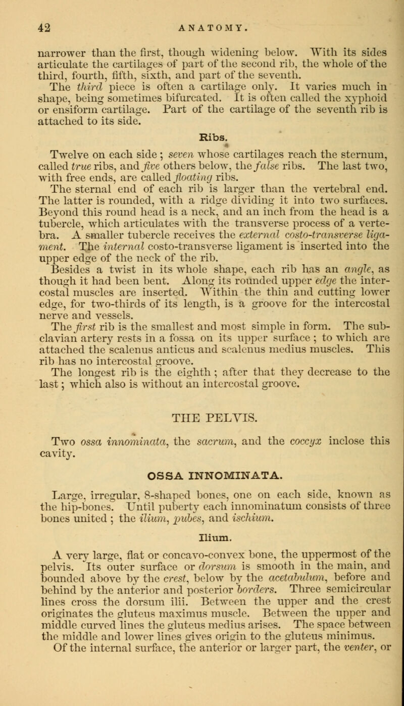 narrower than the first, though widening helow. TVith its sides articulate the cartilages of part of the second rib, the whole of the third, fourth, fifth, sixth, and part of the seventh. The third piece is often a cartilage only. It varies much in shape, being sometimes bifurcated. It is often called the xyphoid or ensiform cartilage. Part of the cartilage of the seventh rib is attached to its side. Ribs. * Twelve on each side ; seven whose cartilages reach the sternum, called true ribs, and five others below, the false ribs. The last two, with free ends, are caMed floating ribs. The sternal end of each rib is larger than the vertebral end. The latter is rounded, with a ridge dividing it into two surfaces. Beyond this round head is a neck, and an inch from the head is a tubercle, which articulates with the transverse process of a verte- bra. A smaller tubercle receives the external costo-transverse liga- ment. The internal costo-transverse ligament is inserted into the upper edge of the neck of the rib. Besides a twist in its whole shape, each rib has an angle, as though it had been bent. Along its rounded upper edge the inter- costal muscles are inserted. Within the thin and cutting lower edge, for two-thirds of its length, is a groove for the intercostal nerve and vessels. The first rib is the smallest and most simple in form. The sub- clavian artery rests in a fossa on its upper surface ; to which are attached the scalenus anticus and scalenus medius muscles. This rib has no intercostal groove. The longest rib is the eighth ; after that they decrease to the last; which also is without an intercostal groove. THE PELVIS. Two ossa innominata, the sacrum, and the coccyx inclose this cavity. OSSA INNOMINATA. Large, irregular, 8-shaped bones, one on each side, known as the hip-bones. Until puberty each innominatum consists of three bones united ; the ilium, pubes, and ischium. Ilium. A very large, flat or concavo-convex bone, the uppermost of the pelvis. Its outer surface or dorsum is smooth in the main, and bounded above by the crest, below by the acetabulum, before and behind by the anterior and posterior borders. Three semicircular lines cross the dorsum ilii. Between the upper and the crest originates the gluteus maximus muscle. Between the upper and middle curved lines the gluteus medius arises. The space between the middle and lower lines gives origin to the gluteus minimus. Of the internal surface, the anterior or larger part, the venter, or