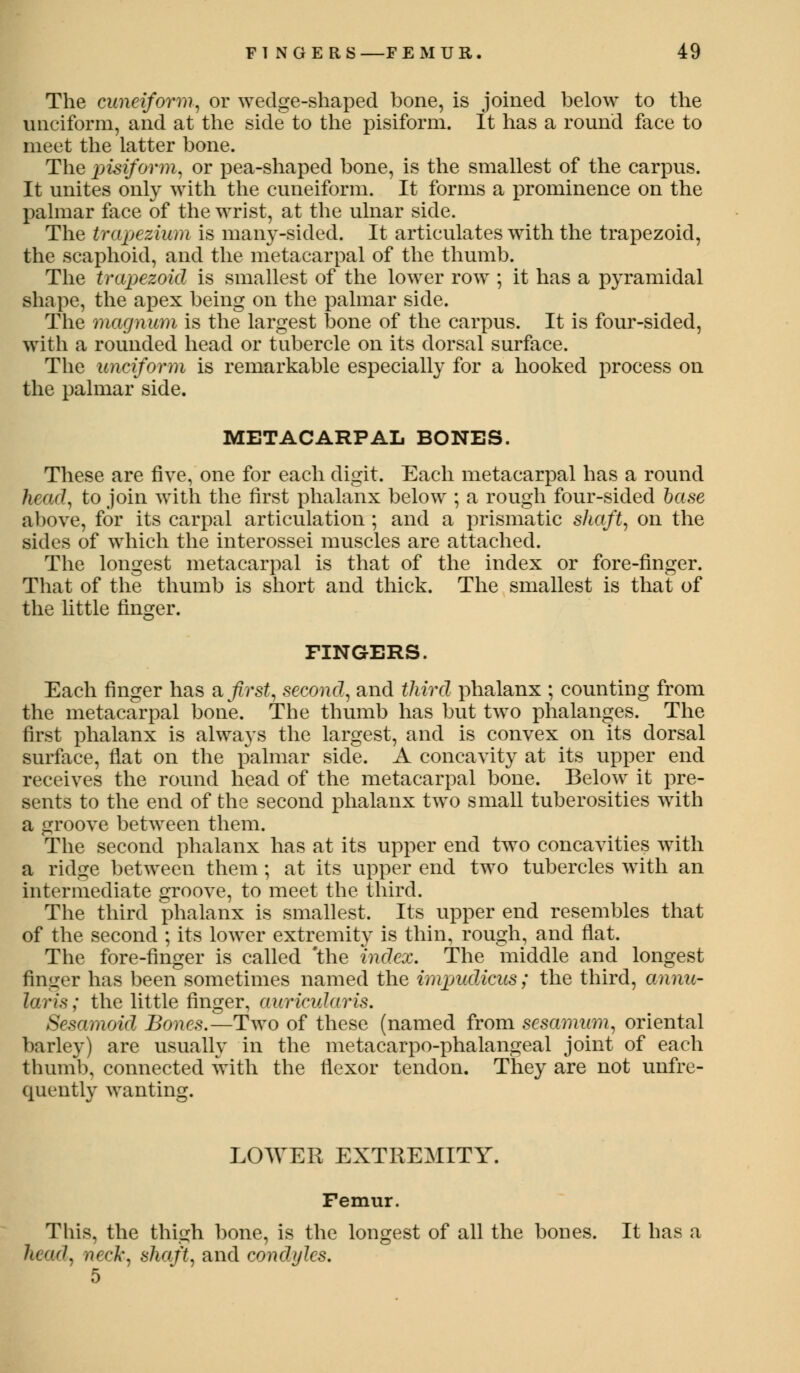 The cuneiform, or wedge-shaped bone, is joined below to the unciform, and at the side to the pisiform. It has a round face to meet the latter bone. The pisiform, or pea-shaped bone, is the smallest of the carpus. It unites only with the cuneiform. It forms a prominence on the palmar face of the wrist, at the ulnar side. The trapezium is many-sided. It articulates with the trapezoid, the scaphoid, and the metacarpal of the thumb. The trapezoid is smallest of the lower row ; it has a pyramidal shape, the apex being on the palmar side. The magnum is the largest bone of the carpus. It is four-sided, with a rounded head or tubercle on its dorsal surface. The unciform is remarkable especially for a hooked process on the palmar side. METACARPAL BONES. These are five, one for each digit. Each metacarpal has a round head, to join with the first phalanx below ; a rough four-sided betse above, for its carpal articulation ; and a prismatic shaft, on the sides of which the interossei muscles are attached. The longest metacarpal is that of the index or fore-finger. That of the thumb is short and thick. The smallest is that of the little finger. FINGERS. Each finger has & first, second, and third phalanx ; counting from the metacarpal bone. The thumb has but two phalanges. The first phalanx is always the largest, and is convex on its dorsal surface, flat on the palmar side. A concavity at its upper end receives the round head of the metacarpal bone. Below it pre- sents to the end of the second phalanx two small tuberosities with a groove between them. The second phalanx has at its upper end two concavities with a ridge between them ; at its upper end two tubercles with an intermediate groove, to meet the third. The third phalanx is smallest. Its upper end resembles that of the second ; its lower extremity is thin, rough, and flat. The fore-finger is called 'the index. The middle and longest finger has been sometimes named the impudicus; the third, annu- laris; the little finger, auricularis. Sesamoid Bones.—Two of these (named from sesamum, oriental barley) are usually in the metacarpophalangeal joint of each thumb, connected with the flexor tendon. They are not unfre- quently wanting. LOUVER EXTREMITY. Femur. This, the thigh bone, is the longest of all the bones. It has a lead, neck, shaft, and condyles. 5