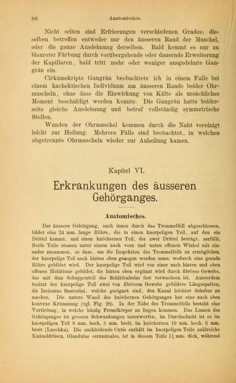 Nicht selten sind Erfrierungen verschiedenen Grades; die- selben betreffen entweder nur den äusseren Rand der Muschel, oder die ganze Ausdehnung derselben. Bald kommt es nur zu blauroter Färbung durch vorübergehende oder dauernde Erweiterung der Kapillaren, bald tritt mehr oder weniger ausgedehnte Gan- grän ein. Cirkumskripte Gangrän beobachtete ich in einem Falle bei einem kachektischen Individuum am äusseren Eande beider Ohr- muscheln, ohne dass die Einwirkung von Kälte als ursächliches Moment beschuldigt werden konnte. Die Gangrän hatte beider- seits gleiche Ausdehnung und betraf vollständig symmetrische Stellen. Wunden der Ohrmuschel kommen durch die Naht vereinigt leicht zur Heilung. Mehrere Fälle sind beobachtet, in welchen abgetrennte Ohrmuscheln wieder zur Anheilung kamen. Kapitel VI. Erkrankungen des äusseren Gehörganges. Anatomisches. Der äussere Gehörgang, uach innen durch das Trommelfell abgeschlossen, bildet eine 24 mm. lange .Röhre, die in eineu knorpeligen Teil, auf den ein Drittel kommt, und einen knöchernen Teil, der zwei Drittel beträgt, zerfällt. Beide Teile stossen unter einem nach vorn und unten offenen Winkel mit ein- ander zusammen, so dass, um die Inspektion des Trommelfells zu ermöglichen, der knorpelige Teil nach hinten oben gezogen werden muss, wodurch eine gerade Röhre gebildet wird. Der knorpelige Teil wird von einer nach hinten und oben offenen Hohlrinne gebildet, die hinten oben ergänzt wird durch fibröses Gewebe, das mit dem Schuppenteil des Schläfenbeins fest verwachsen ist. Ausserdem besitzt der knorpelige Teil zwei von fibrösem Gewebe gebildete Längsspalten, die Incisurae Santorini, welche geeignet sind, den Kanal leichter dehnbar zu machen. Die untere Wand des knöchernen Gehörganges hat eine nach oben konvexe Krümmung (vgl. Fig. 28). In der Nähe des Trommelfells besteht eine Vertiefung, in welche häufig Fremdkörper zu liegen kommen. Das Lumen des Gehörganges ist grossen Schwankungen unterworfen, im Durchschnitt ist es im knorpeligen Teil 8 mm. hoch, 5 mm. breit, im knöchernen 10 mm. hoch, 6 mm. breit (Luschka). Die auskleidende Cutis enthält im knorpeligen Teile zahlreiche Knäueldrüsen, Glandulae ceruminales, ist in diesem Teile \\ mm. dick, während