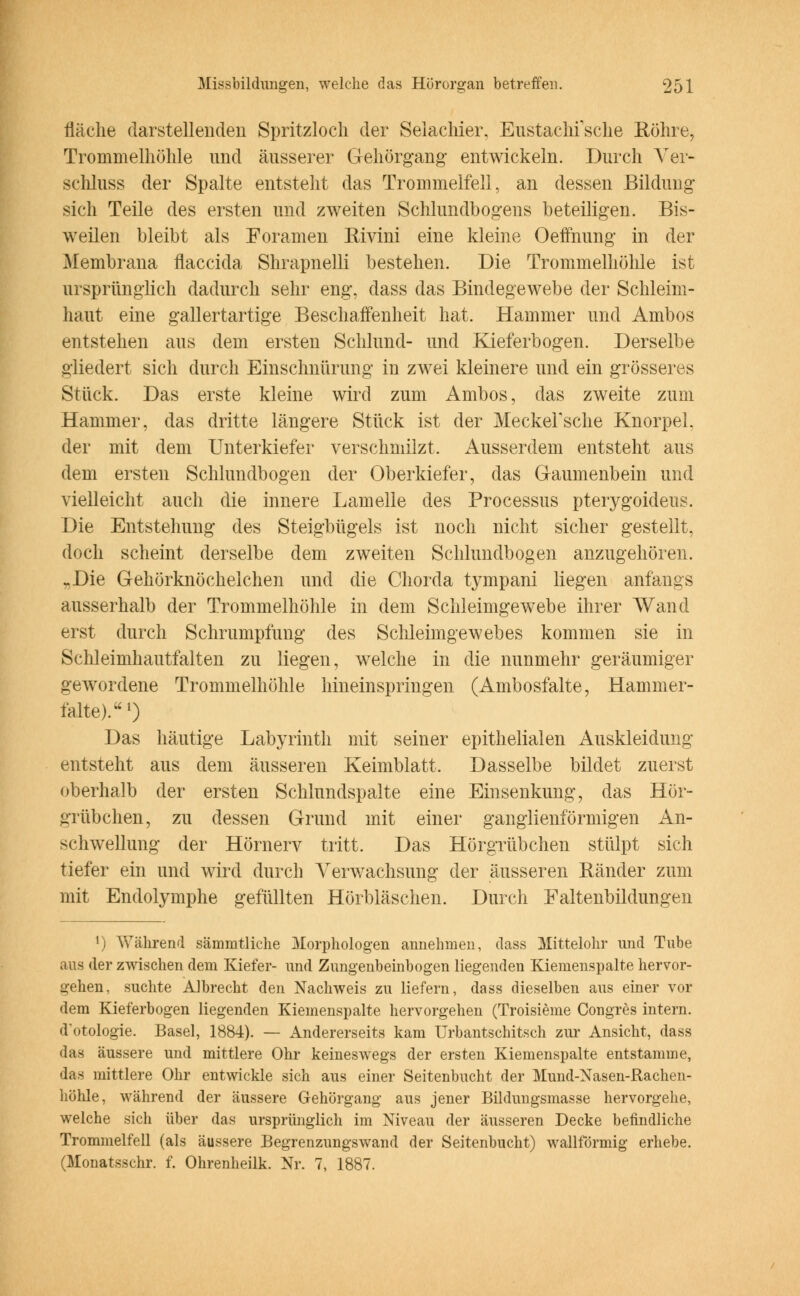 fläche darstellenden Spritzloch der Selaclüer. Eustachische Köhre, Trommelhöhle und äusserer Gehörgang entwickeln. Durch Ver- schluss der Spalte entsteht das Trommelfell, an dessen Bildung sich Teile des ersten und zweiten Schlundbogens beteiligen. Bis- weilen bleibt als Foramen Rivini eine kleine Oeffnung in der Membrana flaccida Shrapnelli bestehen. Die Trommelhöhle ist ursprünglich dadurch sehr eng, dass das Bindegewebe der Schleim- haut eine gallertartige Beschaffenheit hat. Hammer und Ambos entstehen aus dem ersten Schlund- und Kieferbogen. Derselbe gliedert sich durch Einschnürung in zwei kleinere und ein grösseres Stück. Das erste kleine wird zum Ambos, das zweite zum Hammer, das dritte längere Stück ist der MeckeFsche Knorpel, der mit dem Unterkiefer verschmilzt. Ausserdem entsteht aus dem ersten Schlundbogen der Oberkiefer, das Gaumenbein und vielleicht auch die innere Lamelle des Processus pterygoideus. Die Entstehung des Steigbügels ist noch nicht sicher gestellt, doch scheint derselbe dem zweiten Schlundbogen anzugehören. „Die Gehörknöchelchen und die Chorda tympani liegen anfangs ausserhalb der Trommelhöhle in dem Schleimgewebe ihrer Wand erst durch Schrumpfung des Schleimgewebes kommen sie in Schleimhautfalten zu liegen, welche in die nunmehr geräumiger gewordene Trommelhöhle hineinspringen (Ambosfalte, Hammer- falte).1) Das häutige Labyrinth mit seiner epithelialen Auskleidung entsteht aus dem äusseren Keimblatt. Dasselbe bildet zuerst oberhalb der ersten Schinndspalte eine Einsenkung, das Hör- grübchen, zu dessen Grund mit einer ganglienförmigen An- schwellung der Hörnerv tritt. Das Hörgrübchen stülpt sich tiefer ein und wird durch Verwachsung der äusseren Ränder zum mit Endolymphe gefüllten Hörbläschen. Durch Faltenbildungen l) Während sämmtliche Morphologen annehmen, dass Mittelohr und Tube aus der zwischen dem Kiefer- und Zungenbeinbogen liegenden Kiemenspalte hervor- gehen, suchte Albrecht den Nachweis zu liefern, dass dieselben aus einer vor dem Kieferbogen liegenden Kiemenspalte hervorgehen (Troisieme Congres intern, d'otologie. Basel, 1884). — Andererseits kam Urbantschitsch zur Ansicht, dass das äussere und mittlere Ohr keineswegs der ersten Kiemenspalte entstamme, das mittlere Ohr entwickle sich aus einer Seitenbucht der Mund-Nasen-Rachen- höhle, während der äussere Gehörgang aus jener Bildungsmasse hervorgehe, welche sich über das ursprünglich im Niveau der äusseren Decke befindliche Trommelfell (als äussere Begrenzungswand der Seitenbucht) wallförmig erhebe. (Monatsschr. f. Ohrenheilk. Nr. 7, 1887.