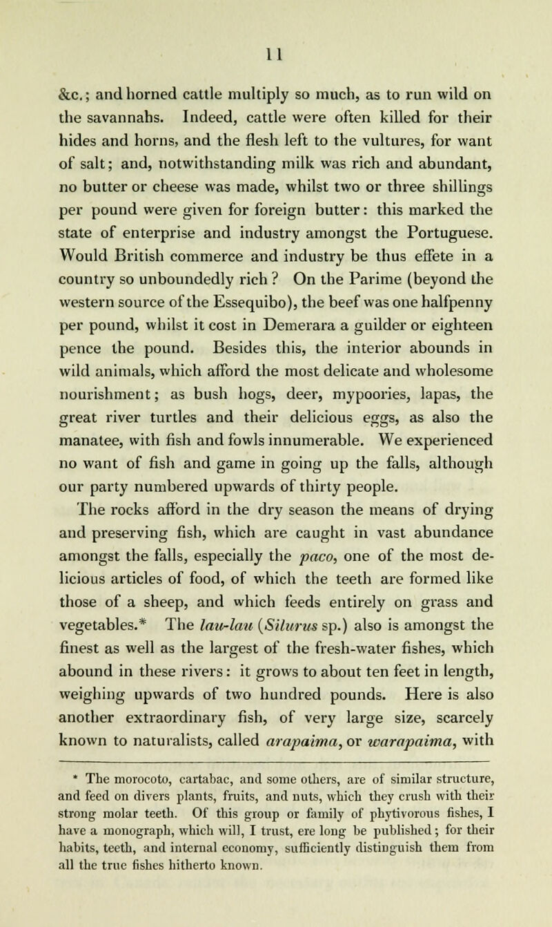 &c; and horned cattle multiply so much, as to run wild on the savannahs. Indeed, cattle were often killed for their hides and horns, and the flesh left to the vultures, for want of salt; and, notwithstanding milk was rich and abundant, no butter or cheese was made, whilst two or three shillings per pound were given for foreign butter: this marked the state of enterprise and industry amongst the Portuguese. Would British commerce and industry be thus effete in a country so unboundedly rich ? On the Parime (beyond the western source of the Essequibo), the beef was one halfpenny per pound, whilst it cost in Demerara a guilder or eighteen pence the pound. Besides this, the interior abounds in wild animals, which afford the most delicate and wholesome nourishment; as bush hogs, deer, mypoories, lapas, the great river turtles and their delicious eggs, as also the manatee, with fish and fowls innumerable. We experienced no want of fish and game in going up the falls, although our party numbered upwards of thirty people. The rocks afford in the dry season the means of drying and preserving fish, which are caught in vast abundance amongst the falls, especially the paco, one of the most de- licious articles of food, of which the teeth are formed like those of a sheep, and which feeds entirely on grass and vegetables.* The lan-lau (Silurus sp.) also is amongst the finest as well as the largest of the fresh-water fishes, which abound in these rivers: it grows to about ten feet in length, weighing upwards of two hundred pounds. Here is also another extraordinary fish, of very large size, scarcely known to naturalists, called arapaima, or warapaima, with * The morocoto, cartabac, and some others, are of similar structure, and feed on divers plants, fruits, and nuts, which they crush with their strong molar teeth. Of this group or family of phytivorous fishes, I have a monograph, which will, I trust, ere long be published; for their habits, teeth, and internal economy, sufficiently distinguish them from all the true fishes hitherto known.