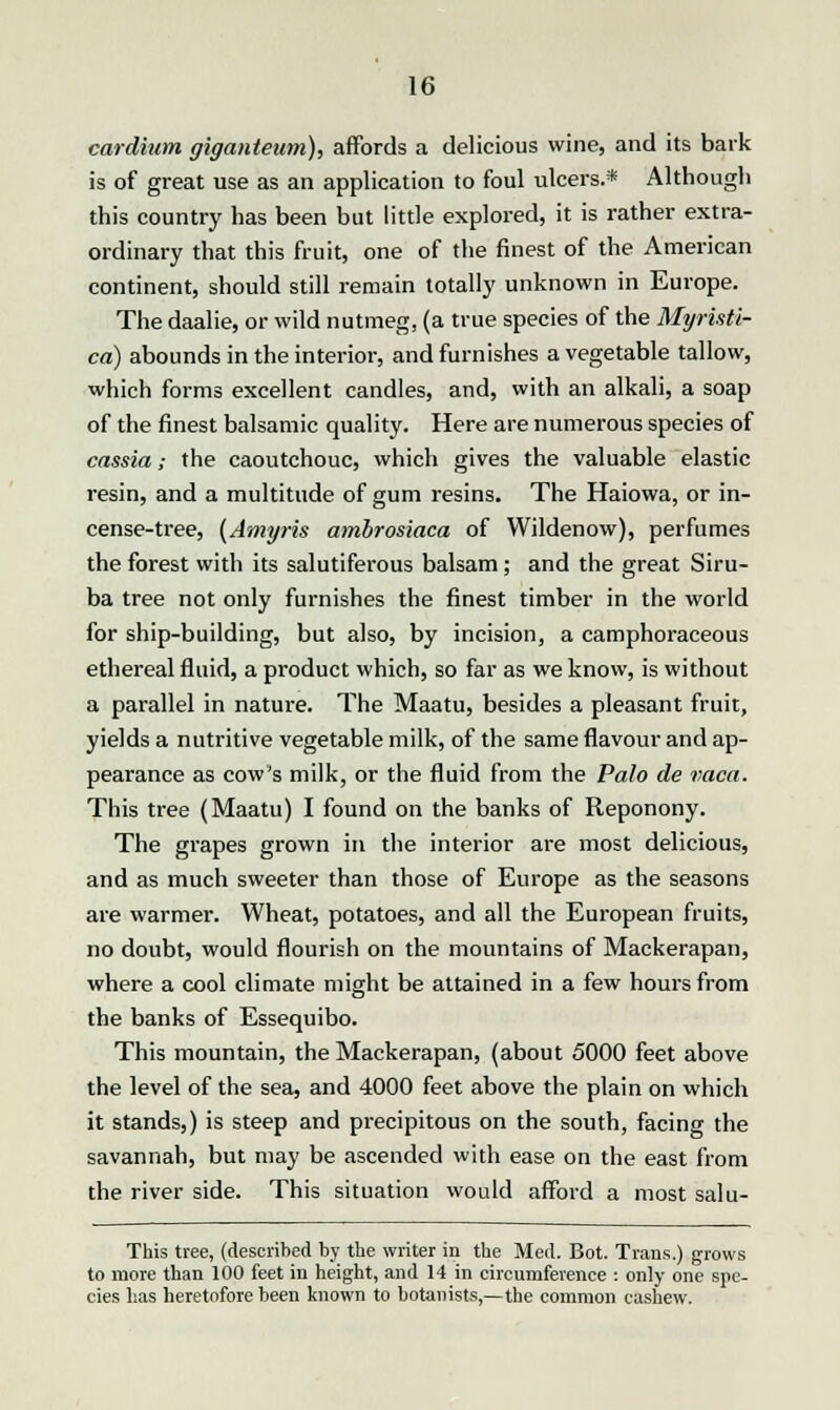cardium giganteum), affords a delicious wine, and its bark is of great use as an application to foul ulcers.* Although this country has been but little explored, it is rather extra- ordinary that this fruit, one of the finest of the American continent, should still remain totally unknown in Europe. The daalie, or wild nutmeg, (a true species of the Myristl- ca) abounds in the interior, and furnishes a vegetable tallow, which forms excellent candles, and, with an alkali, a soap of the finest balsamic quality. Here are numerous species of cassia; the caoutchouc, which gives the valuable elastic resin, and a multitude of gum resins. The Haiowa, or in- cense-tree, {Amyris ambrosiaca of Wildenow), perfumes the forest with its salutiferous balsam; and the great Siru- ba tree not only furnishes the finest timber in the world for ship-building, but also, by incision, a camphoraceous ethereal fluid, a product which, so far as we know, is without a parallel in nature. The Maatu, besides a pleasant fruit, yields a nutritive vegetable milk, of the same flavour and ap- pearance as cow's milk, or the fluid from the Palo de vaca. This tree (Maatu) I found on the banks of Reponony. The grapes grown in the interior are most delicious, and as much sweeter than those of Europe as the seasons are warmer. Wheat, potatoes, and all the European fruits, no doubt, would flourish on the mountains of Mackerapan, where a cool climate might be attained in a few hours from the banks of Essequibo. This mountain, the Mackerapan, (about 5000 feet above the level of the sea, and 4000 feet above the plain on which it stands,) is steep and precipitous on the south, facing the savannah, but may be ascended with ease on the east from the river side. This situation would afford a most salu- This tree, (described by the writer in the Med. Bot. Trans.) grows to more than 100 feet in height, and 14 in circumference : only one spe- cies has heretofore been known to botanists,—the common cashew.