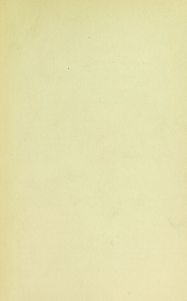 digitised image 3
