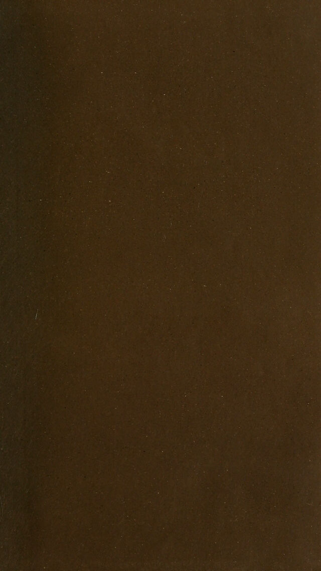 digitised image 3