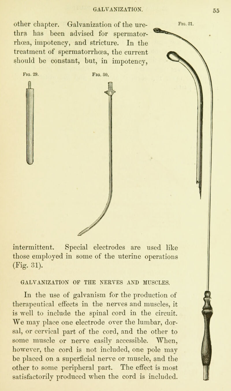 other chapter. Galvanization of the ure- thra has been advised for spermator- rhoea, impotency, and stricture. In the treatment of spermatorrhoea, the current should he constant, but, in impotency, Fig. 81. Fid. 29. Fig. 80. intermittent. Special electrodes are used like those employed in some of the uterine operations (Fig. 31). GALVANIZATION OF THE NERVES AND MUSCLES. In the use of galvanism for the production of therapeutical effects in the nerves and muscles, it is well to include the spinal cord in the circuit. We may place one electrode over the lumbar, dor- sal, or cervical part of the cord, and the other to some muscle or nerve easily accessible. When, however, the cord is not included, one pole may be placed on a superficial nerve or muscle, and the other to some peripheral part. The effect is most satisfactorily produced when the cord is included.