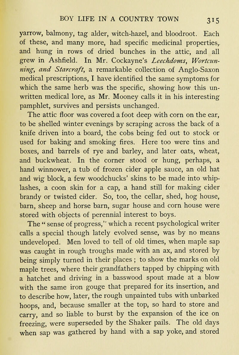 yarrow, balmony, tag alder, witch-hazel, and bloodroot. Each of these, and many more, had specific medicinal properties,, and hung in rows of dried bunches in the attic, and all grew in Ashfield. In Mr. Cockayne's Leechdoms, Wortcun- ning, mid Starcraft, a remarkable collection of Anglo-Saxon medical prescriptions, I have identified the same symptoms for which the same herb was the specific, showing how this un- written medical lore, as Mr. Mooney calls it in his interesting pamphlet, survives and persists unchanged. The attic floor was covered a foot deep with corn on the ear, to be shelled winter evenings by scraping across the back of a knife driven into a board, the cobs being fed out to stock or used for baking and smoking fires. Here too were tins and boxes, and barrels of rye and barley, and later oats, wheat, and buckwheat. In the corner stood or hung, perhaps, a hand winnower, a tub of frozen cider apple sauce, an old hat and wig block, a few woodchucks' skins to be made into whip- lashes, a coon skin for a cap, a hand still for making cider brandy or twisted cider. So, too, the cellar, shed, hog house, barn, sheep and horse barn, sugar house and corn house were stored with objects of perennial interest to boys. The  sense of progress, which a recent psychological writer calls a special though lately evolved sense, was by no means undeveloped. Men loved to tell of old times, when maple sap was caught in rough troughs made with an ax, and stored by being simply turned in their places ; to show the marks on old maple trees, where their grandfathers tapped by chipping with a hatchet and driving in a basswood spout made at a blow with the same iron gouge that prepared for its insertion, and to describe how, later, the rough unpainted tubs with unbarked hoops, and, because smaller at the top, so hard to store and carry, and so liable to burst by the expansion of the ice on freezing, were superseded by the Shaker pails. The old days when sap was gathered by hand with a sap yoke, and stored